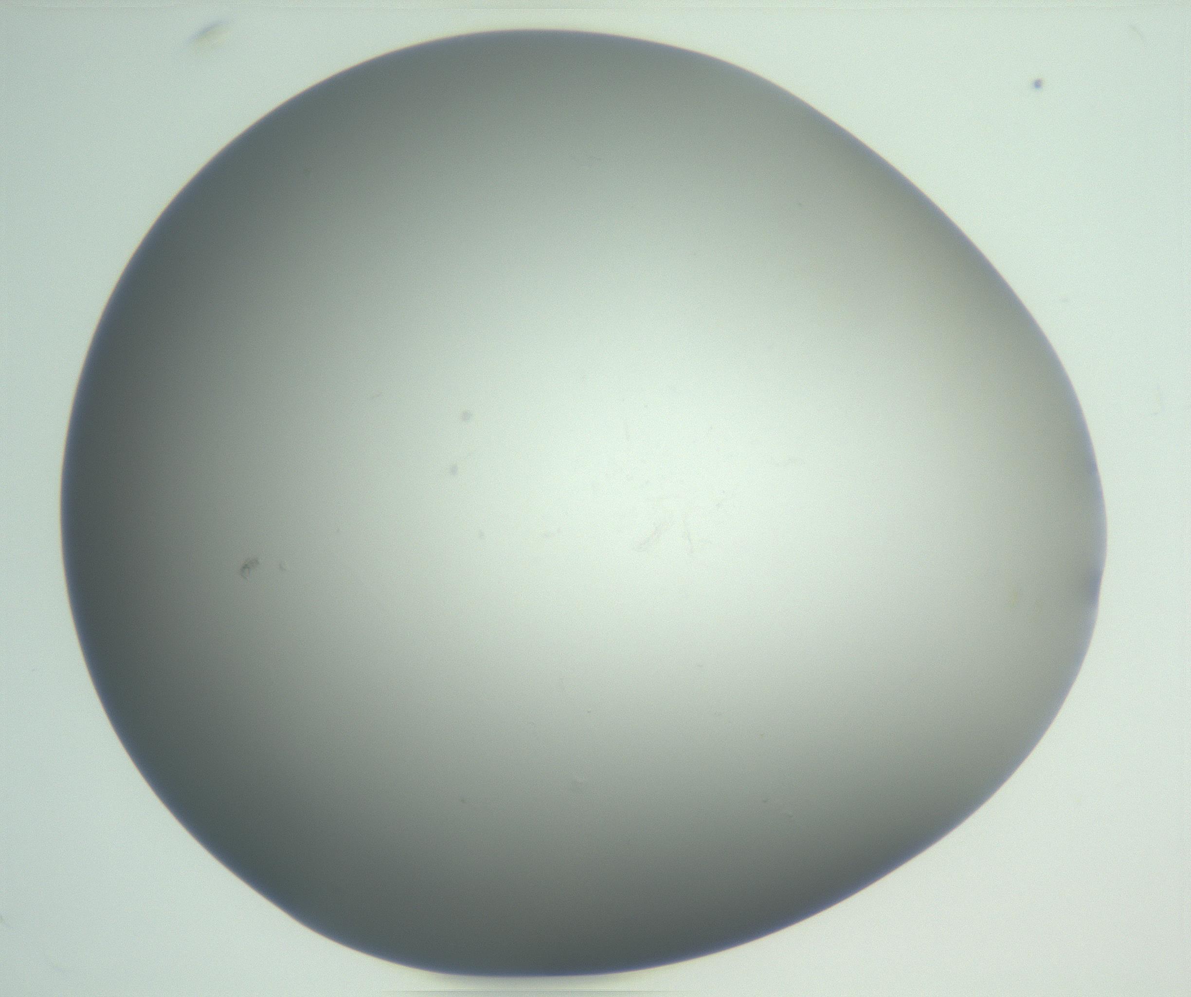 RI01_03_000_0212_Proj1_Clon1_MC_0000MC102865_003_161022_04_08_01_00_99_002_001_RAI.jpg