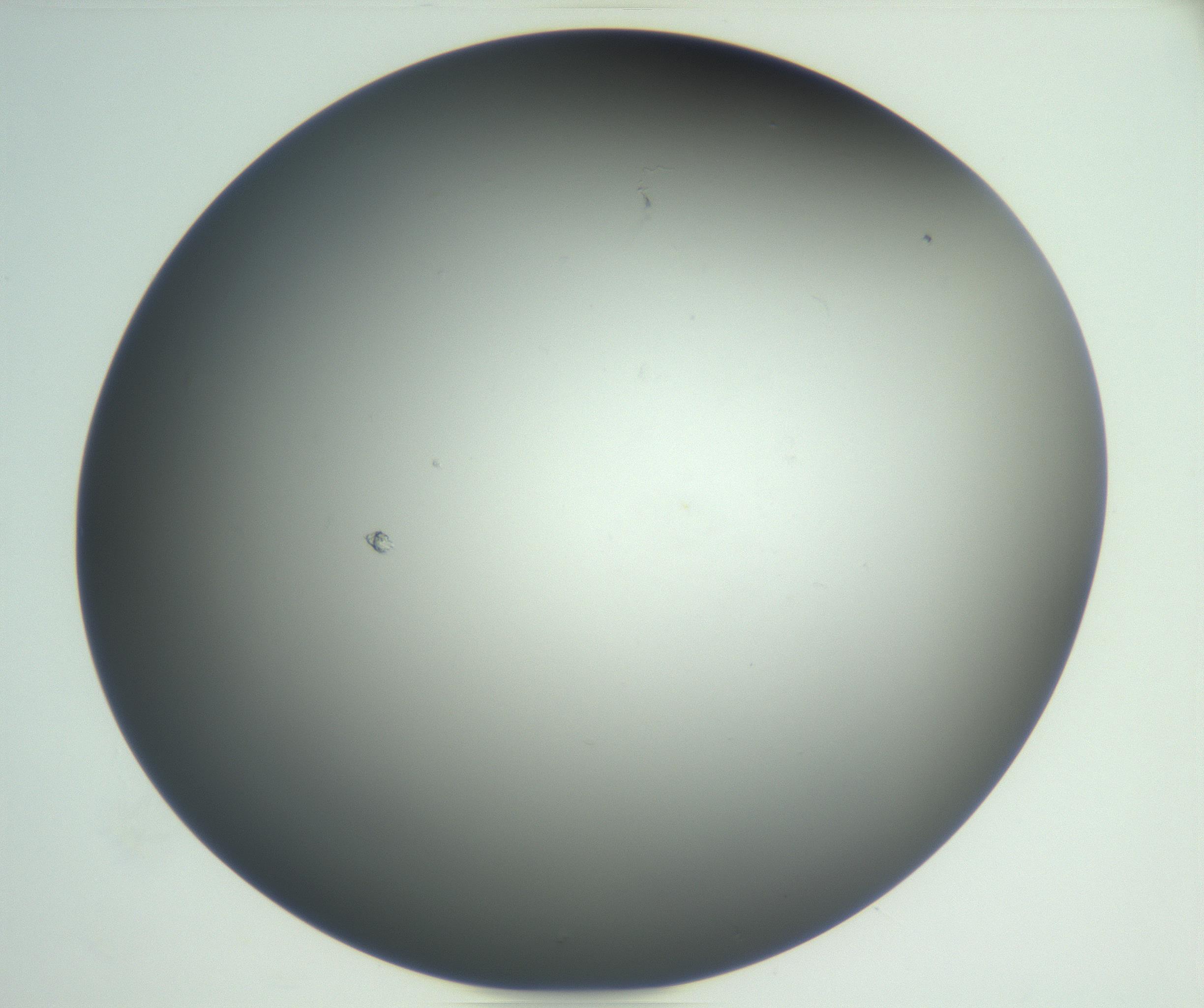 RI01_03_000_0212_Proj1_Clon1_MC_0000MC102865_003_161022_04_08_02_00_99_002_001_RAI.jpg