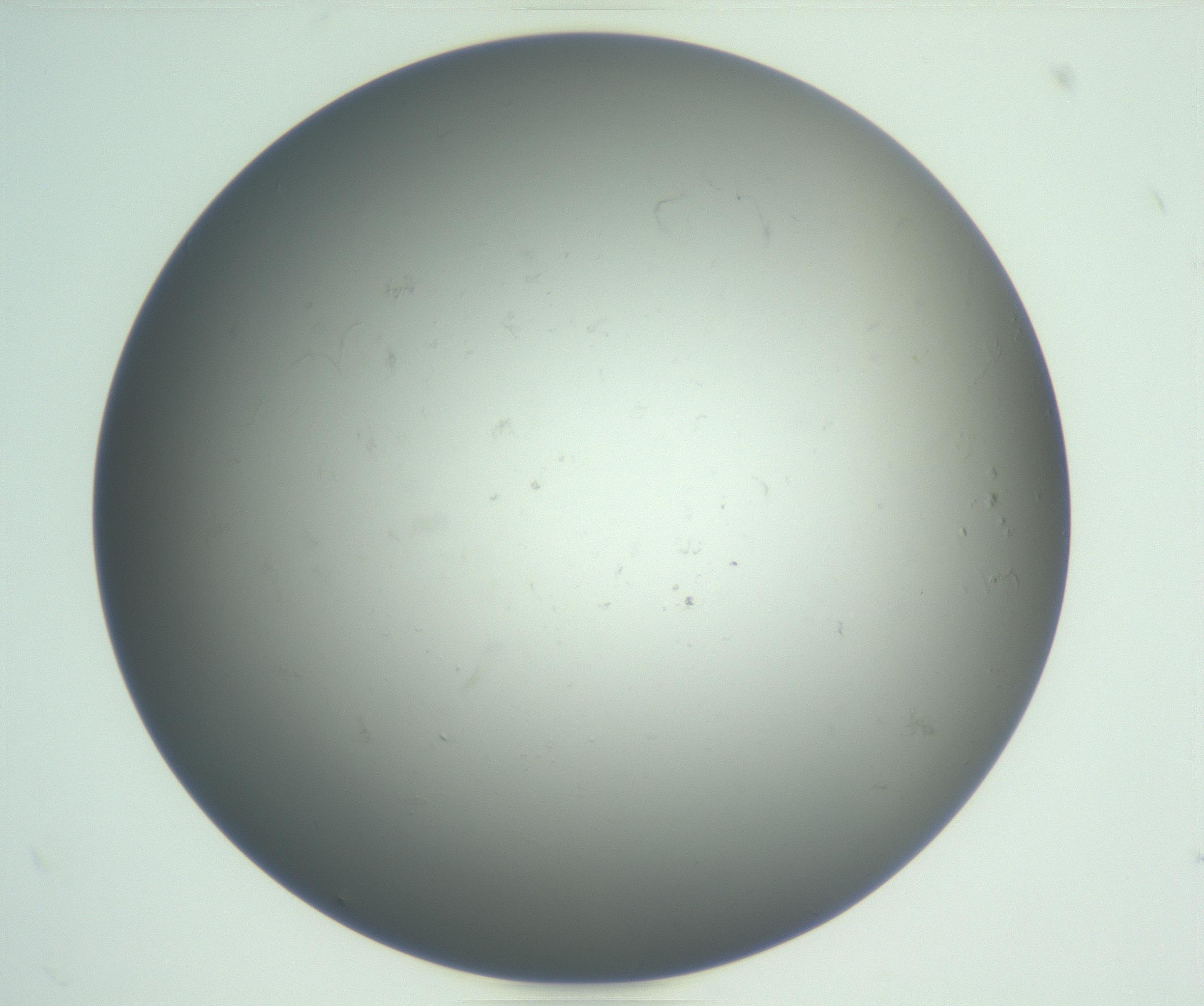 RI01_03_000_0212_Proj1_Clon1_MC_0000MC102865_003_161022_05_02_01_00_99_002_001_RAI.jpg