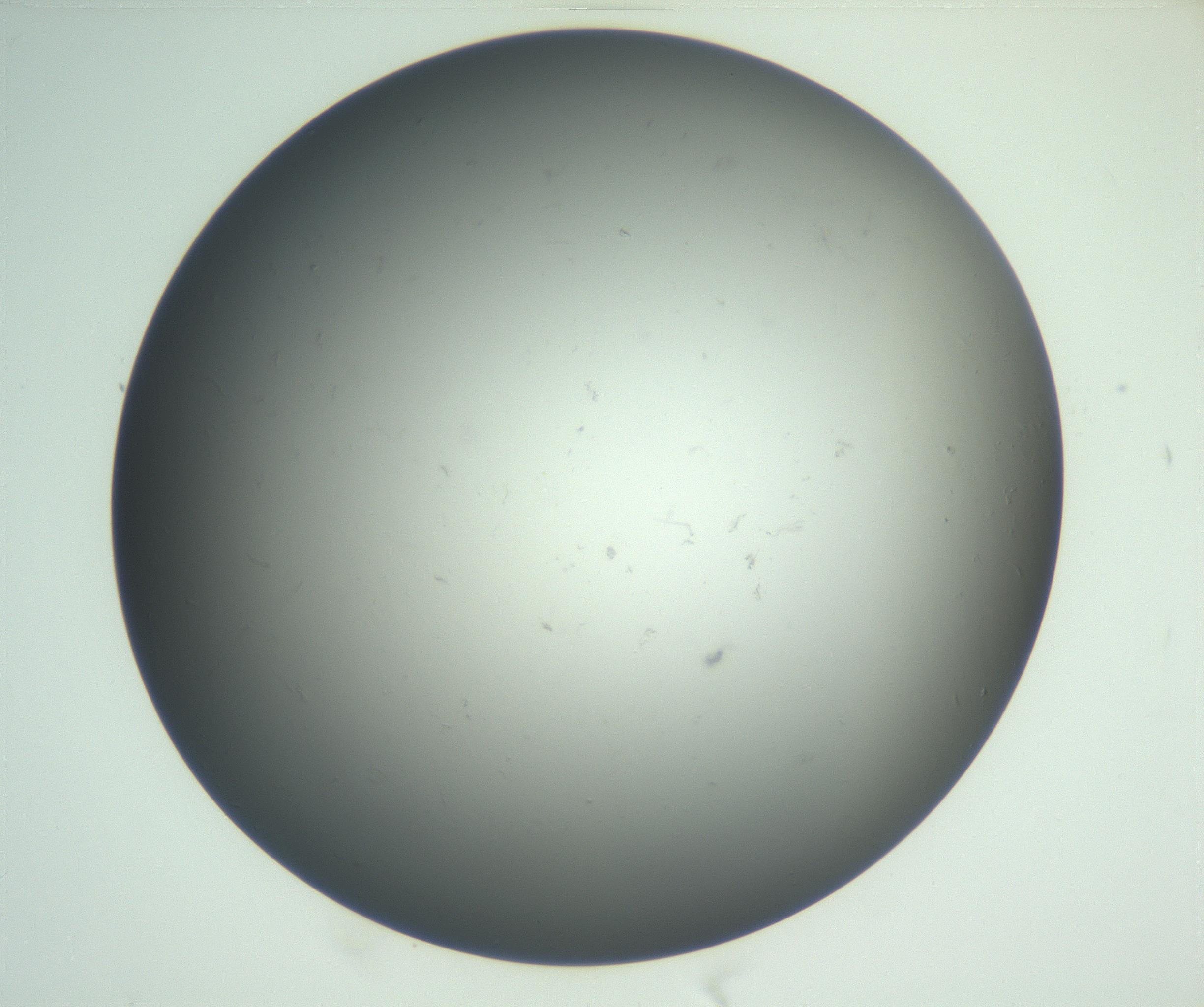 RI01_03_000_0212_Proj1_Clon1_MC_0000MC102865_003_161022_05_02_02_00_99_002_001_RAI.jpg