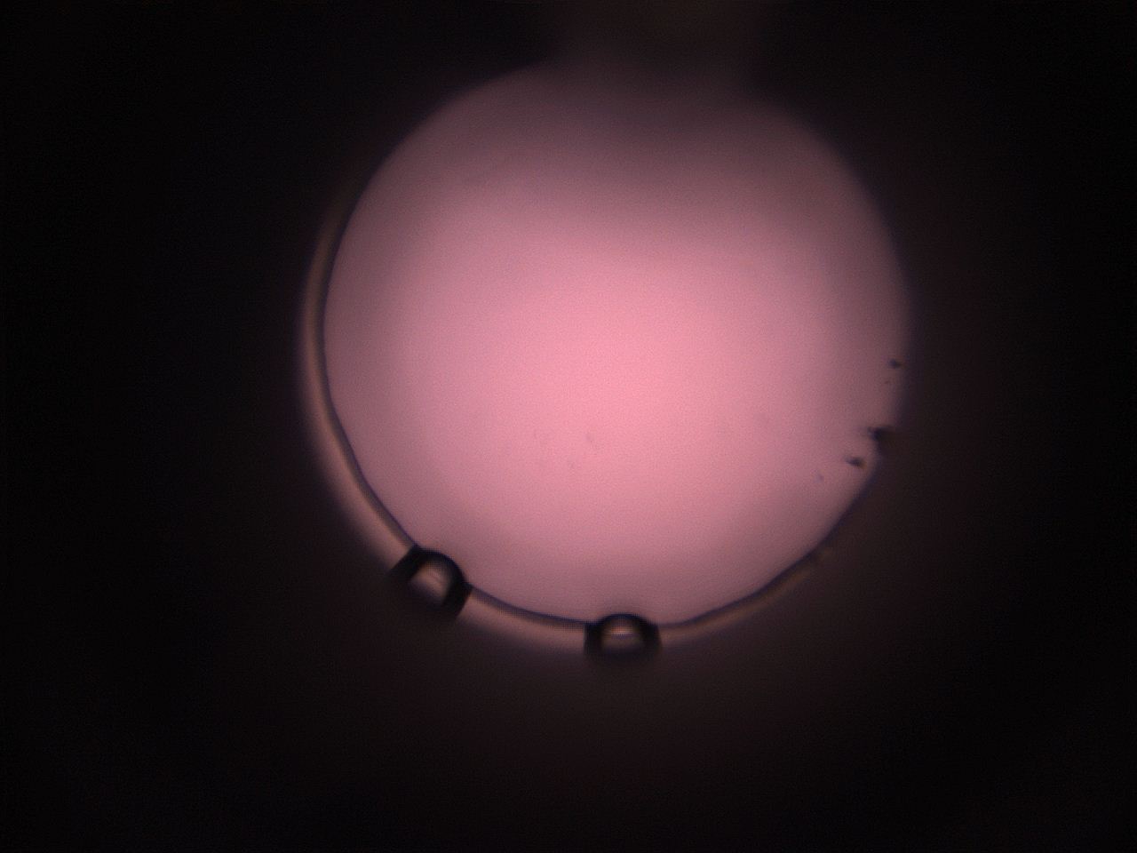 05i3_P9_ImagerDefaults_1.jpg