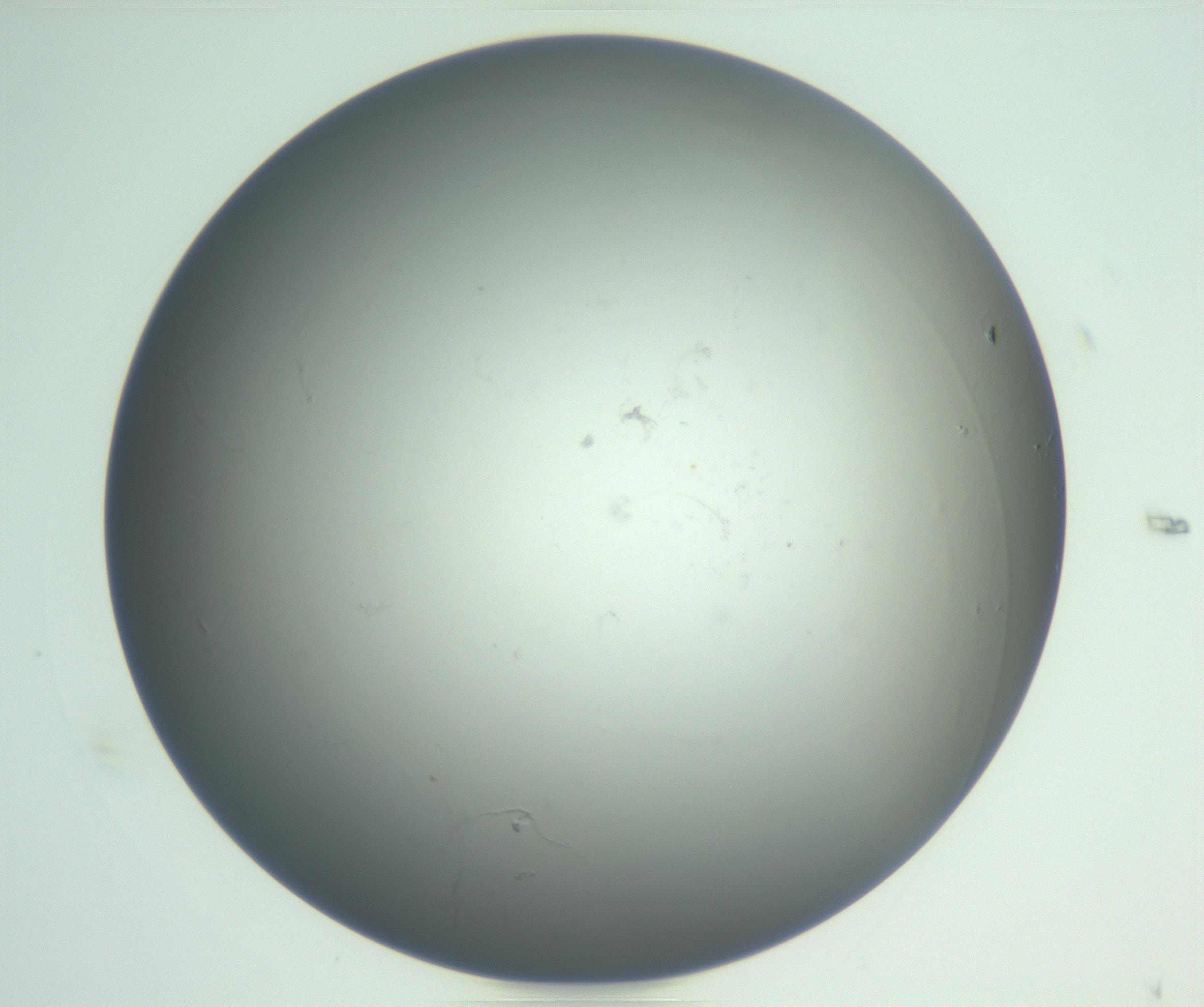 RI01_03_000_0212_Proj1_Clon1_MC_0000MC102865_003_161022_05_06_01_00_99_002_001_RAI.jpg