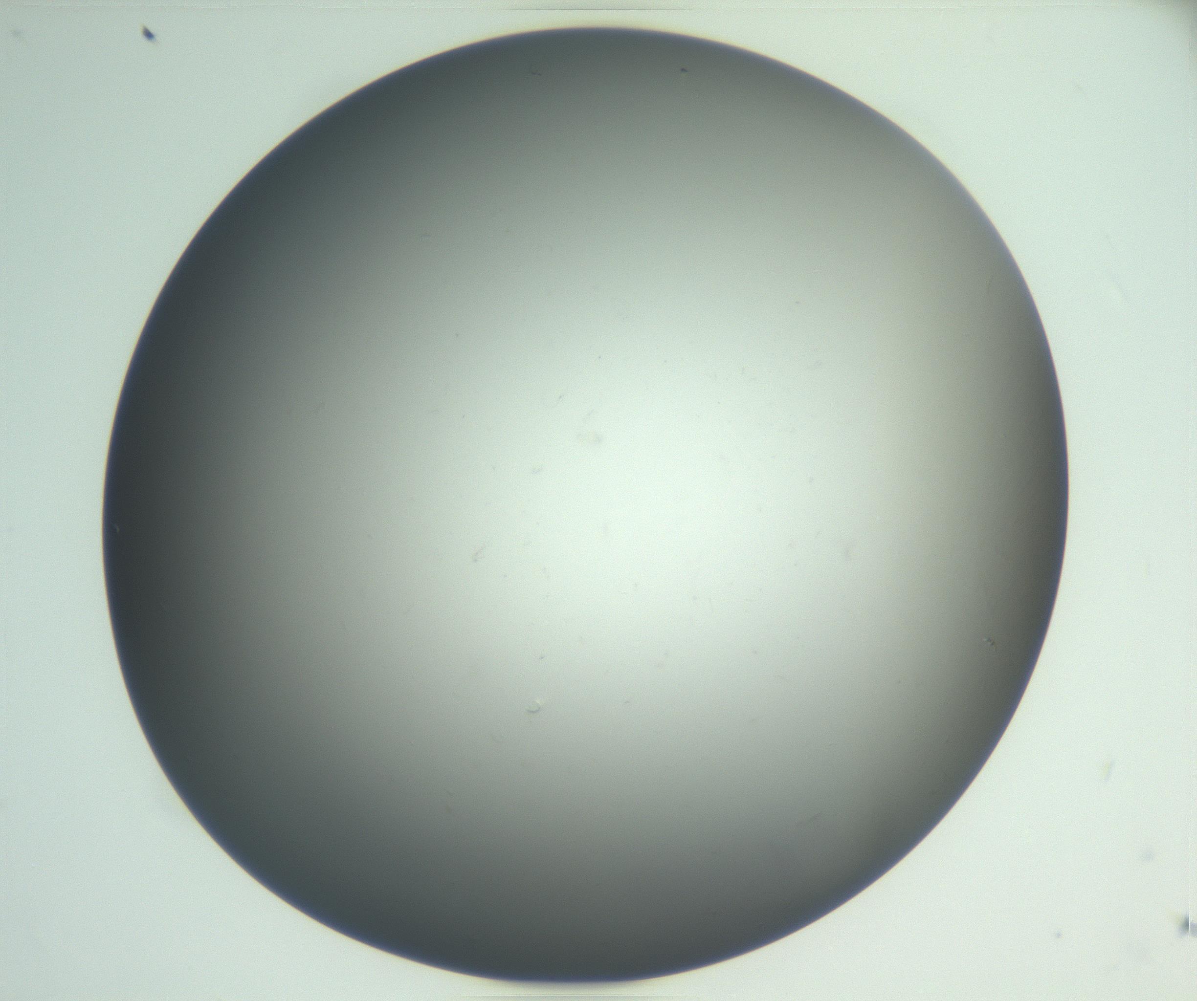 RI01_03_000_0212_Proj1_Clon1_MC_0000MC102865_003_161022_05_06_02_00_99_002_001_RAI.jpg