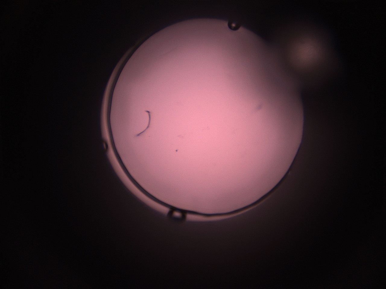 05i3_P10_ImagerDefaults_1.jpg