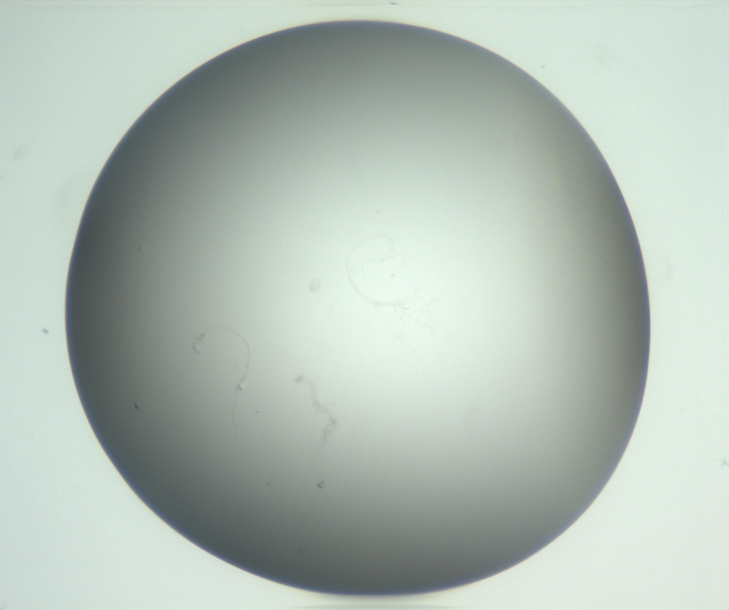 RI01_03_000_0212_Proj1_Clon1_MC_0000MC102865_003_161022_06_06_01_00_99_002_001_RAI.jpg