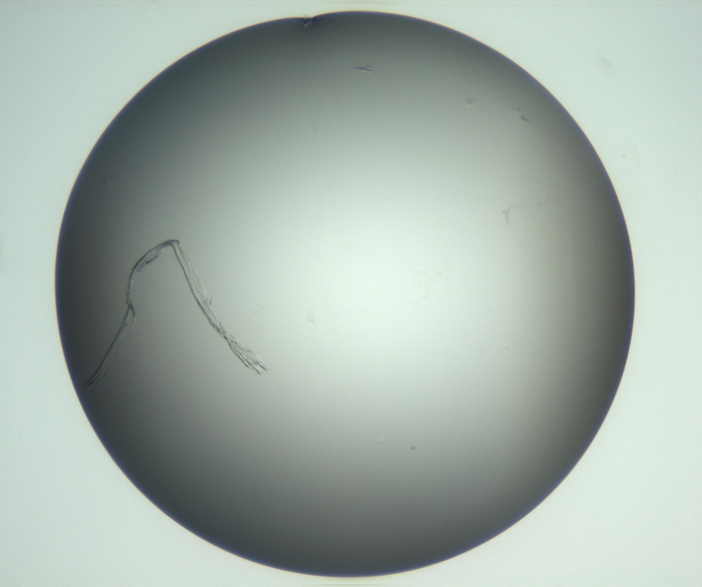RI01_03_000_0212_Proj1_Clon1_MC_0000MC102865_003_161022_06_06_02_00_99_002_001_RAI.jpg