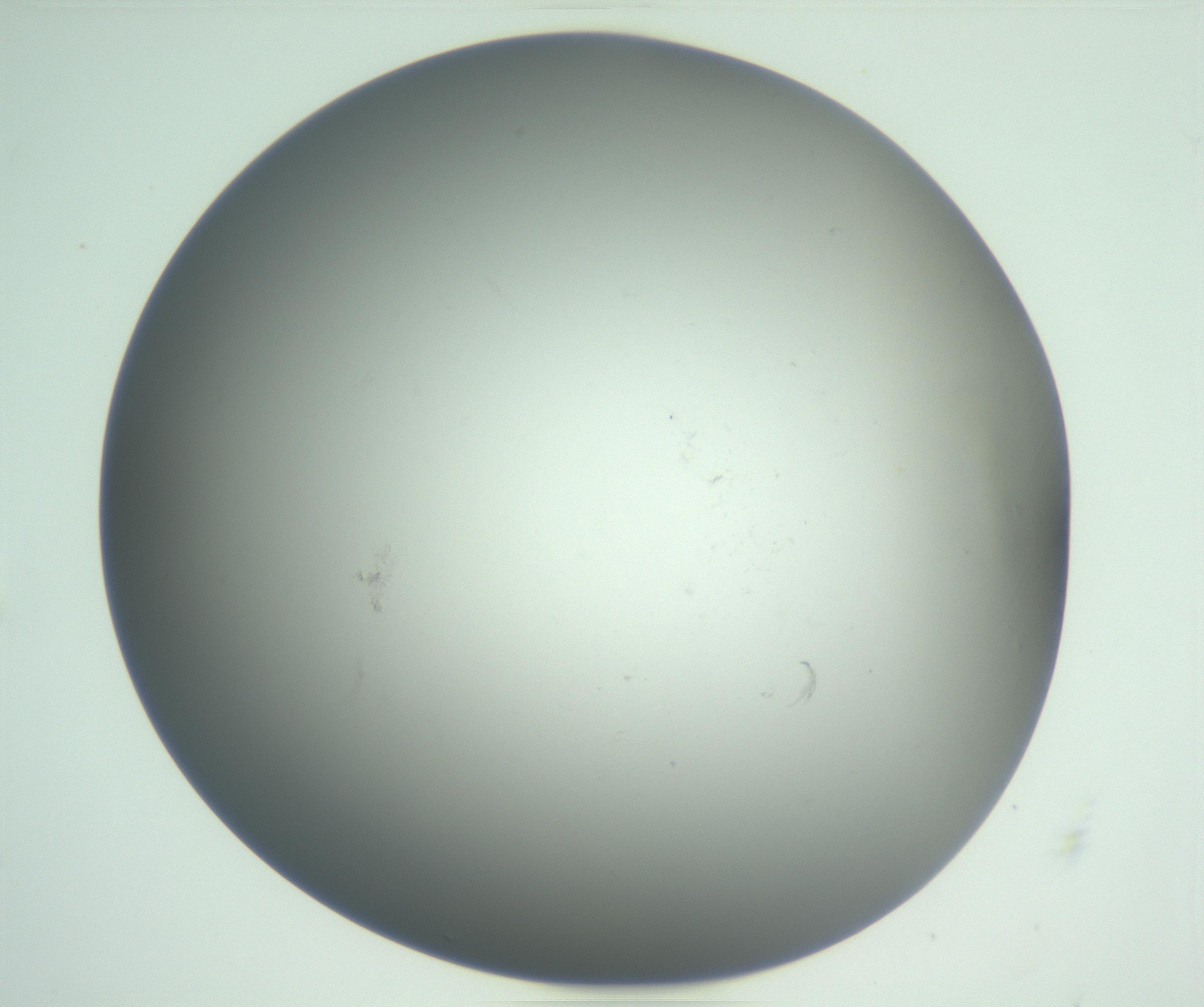RI01_03_000_0212_Proj1_Clon1_MC_0000MC102865_003_161022_07_01_01_00_99_002_001_RAI.jpg