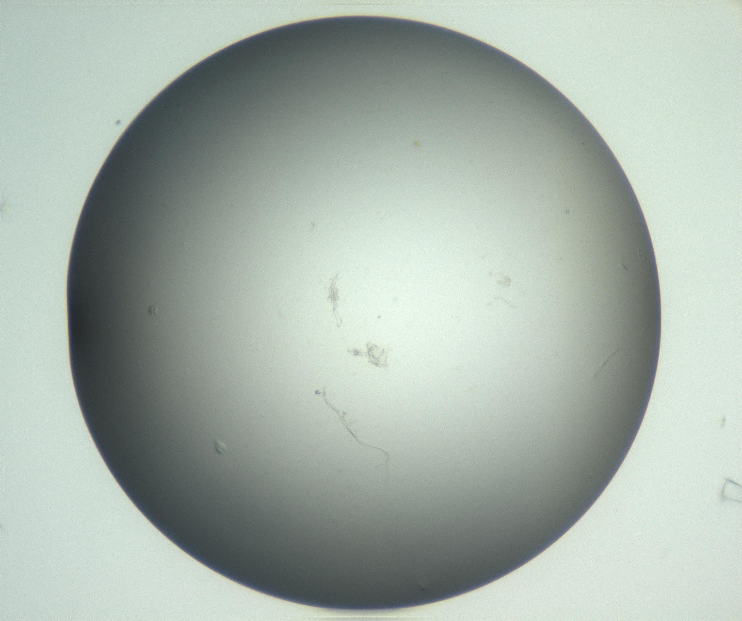 RI01_03_000_0212_Proj1_Clon1_MC_0000MC102865_003_161022_07_01_02_00_99_002_001_RAI.jpg