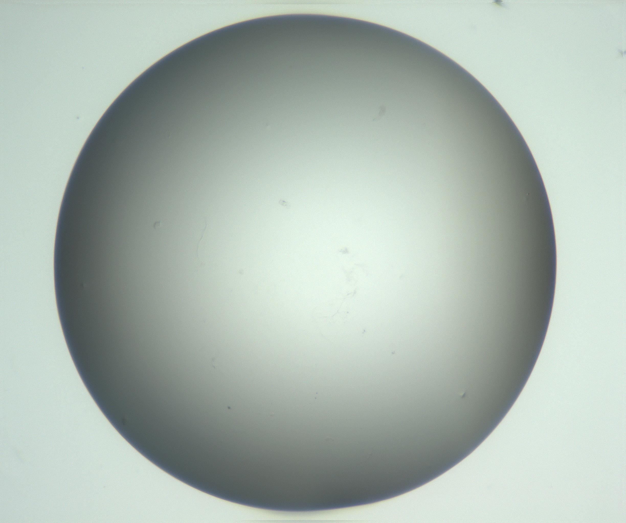 RI01_03_000_0212_Proj1_Clon1_MC_0000MC102865_003_161022_07_05_01_00_99_002_001_RAI.jpg