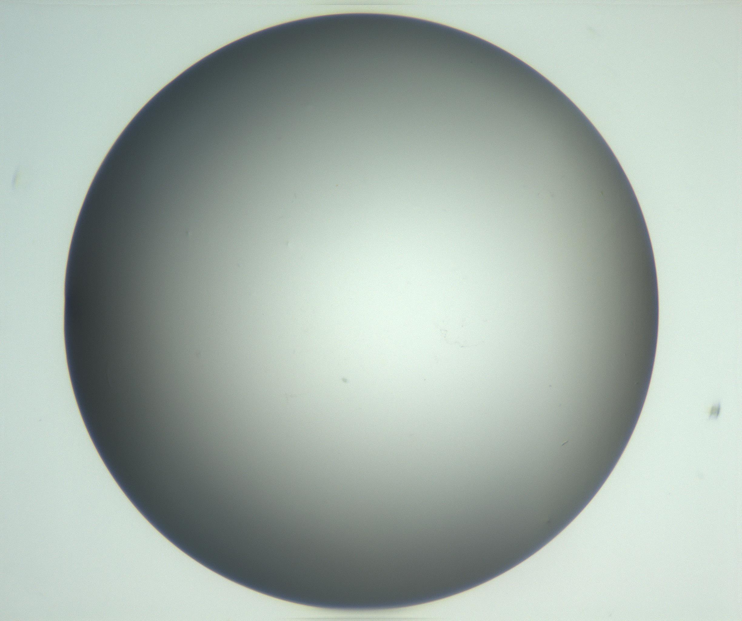 RI01_03_000_0212_Proj1_Clon1_MC_0000MC102865_003_161022_07_05_02_00_99_002_001_RAI.jpg
