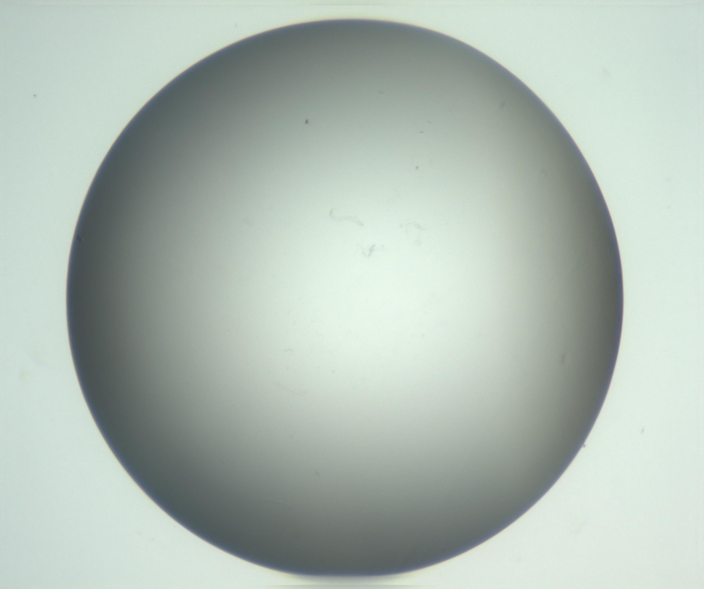 RI01_03_000_0212_Proj1_Clon1_MC_0000MC102865_003_161022_07_06_01_00_99_002_001_RAI.jpg
