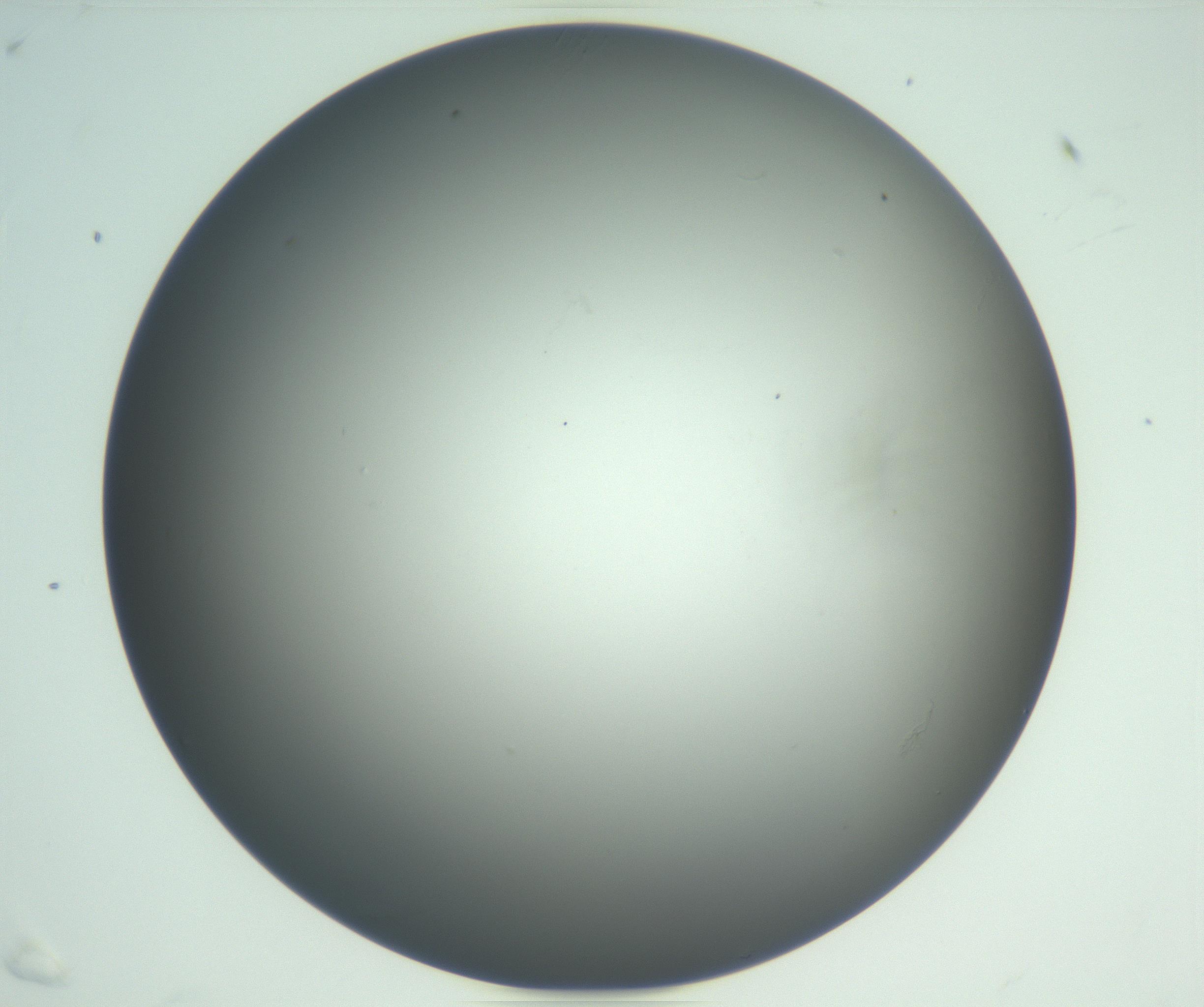 RI01_03_000_0212_Proj1_Clon1_MC_0000MC102865_003_161022_07_06_02_00_99_002_001_RAI.jpg