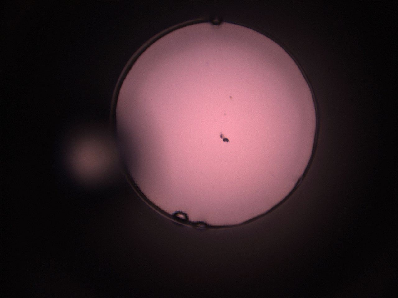 05i3_P13_ImagerDefaults_1.jpg