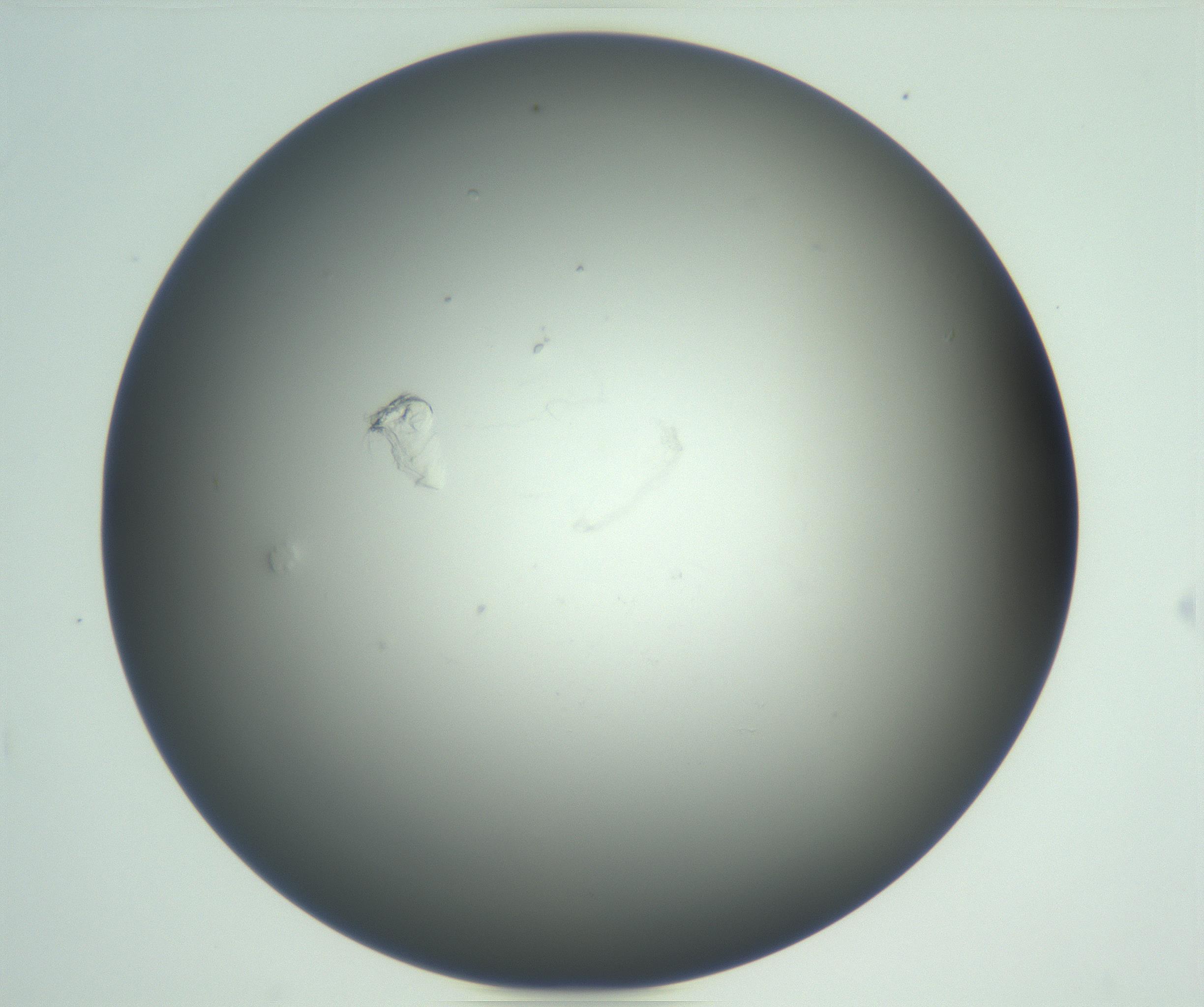 RI01_03_000_0212_Proj1_Clon1_MC_0000MC102865_003_161022_07_07_01_00_99_002_001_RAI.jpg