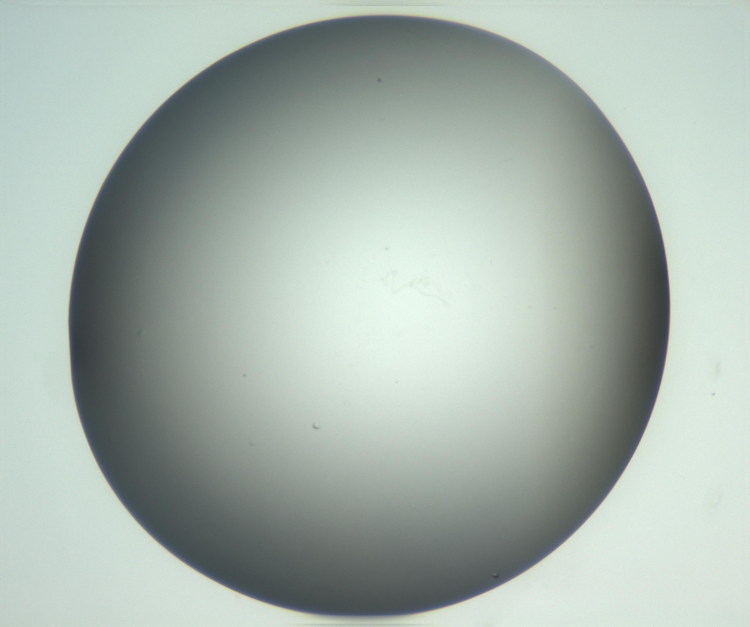 RI01_03_000_0212_Proj1_Clon1_MC_0000MC102865_003_161022_07_07_02_00_99_002_001_RAI.jpg