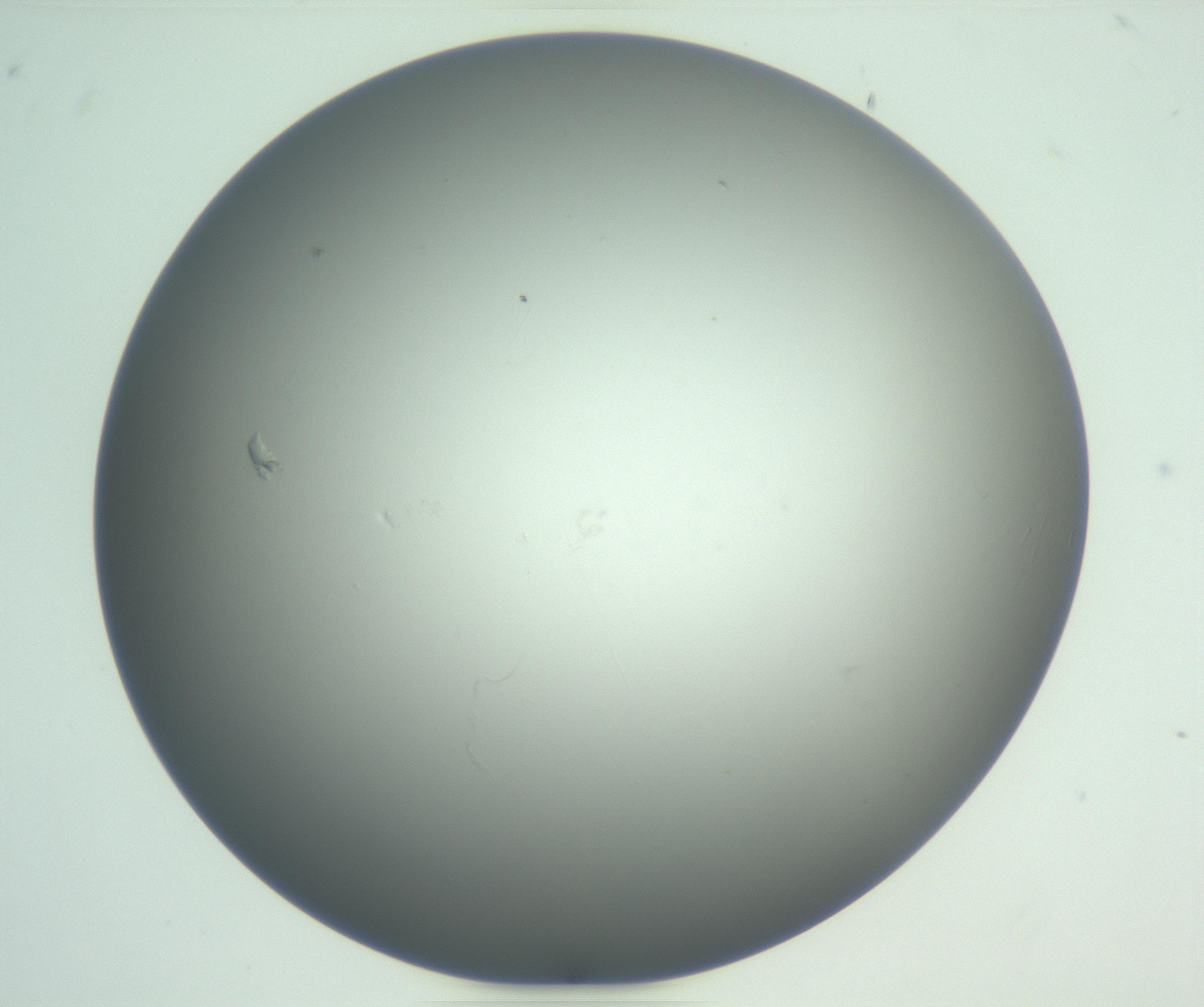 RI01_03_000_0212_Proj1_Clon1_MC_0000MC102865_003_161022_07_08_01_00_99_002_001_RAI.jpg