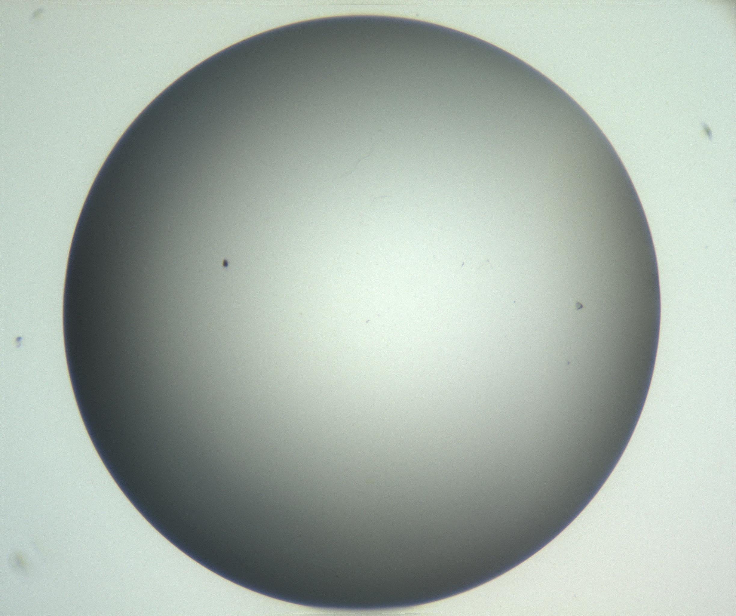RI01_03_000_0212_Proj1_Clon1_MC_0000MC102865_003_161022_07_08_02_00_99_002_001_RAI.jpg