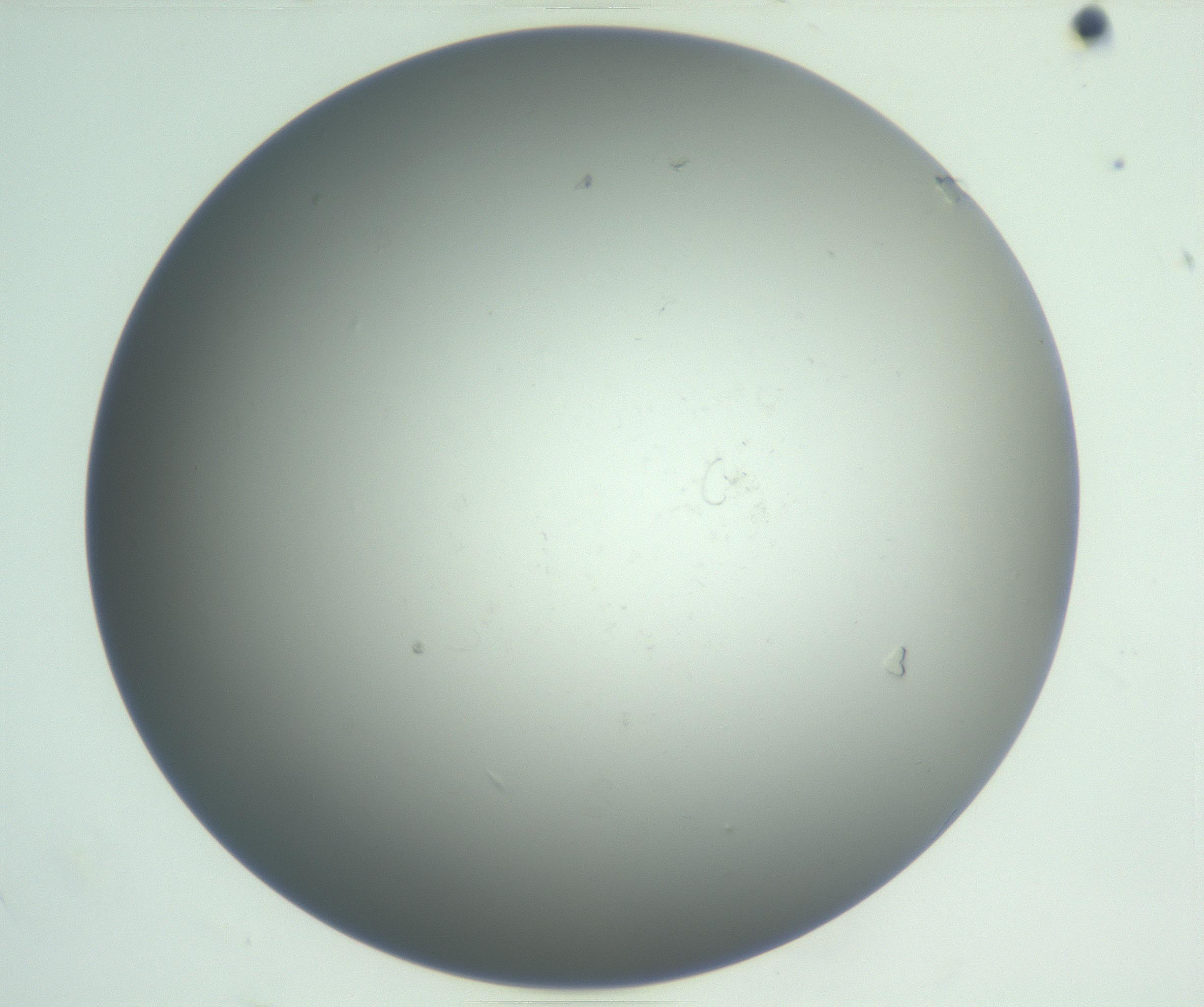 RI01_03_000_0212_Proj1_Clon1_MC_0000MC102865_003_161022_08_01_01_00_99_002_001_RAI.jpg