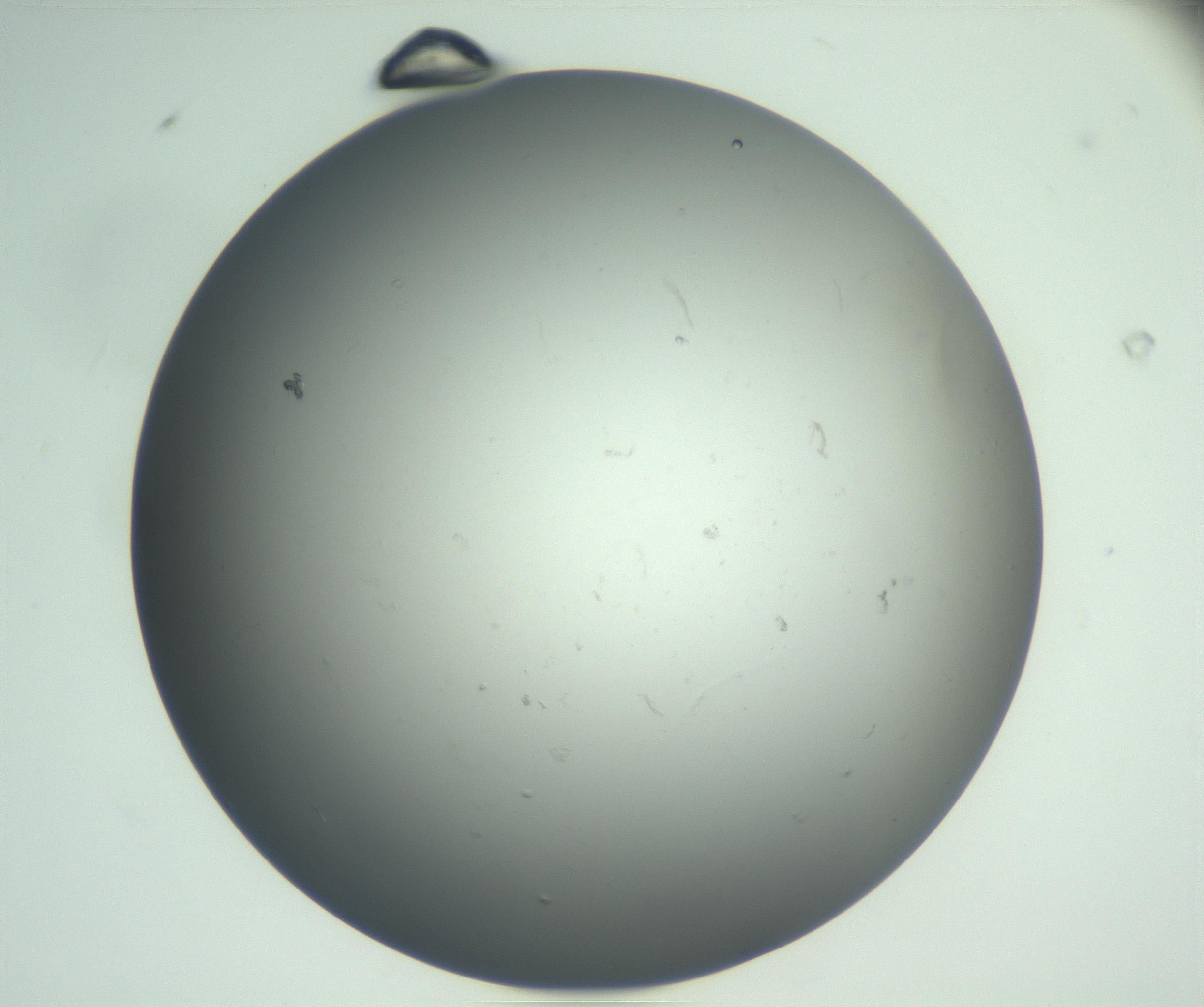 RI01_03_000_0212_Proj1_Clon1_MC_0000MC102865_003_161022_08_01_02_00_99_002_001_RAI.jpg