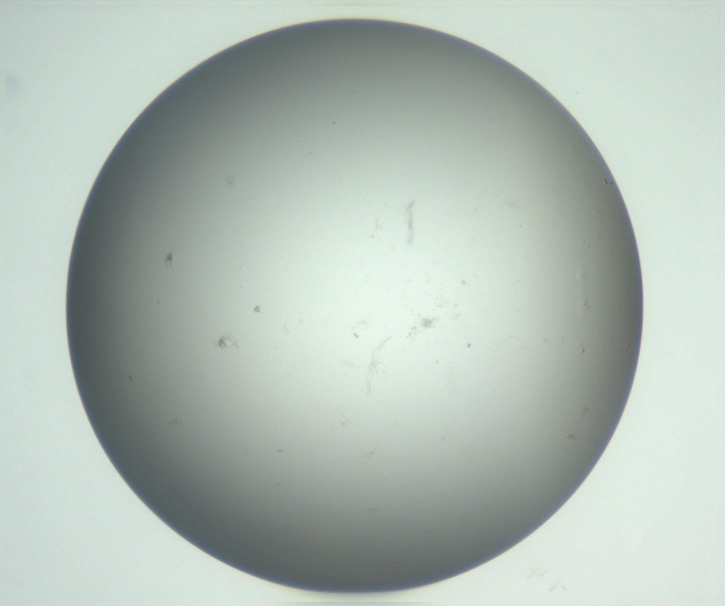 RI01_03_000_0212_Proj1_Clon1_MC_0000MC102865_003_161022_08_05_01_00_99_002_001_RAI.jpg