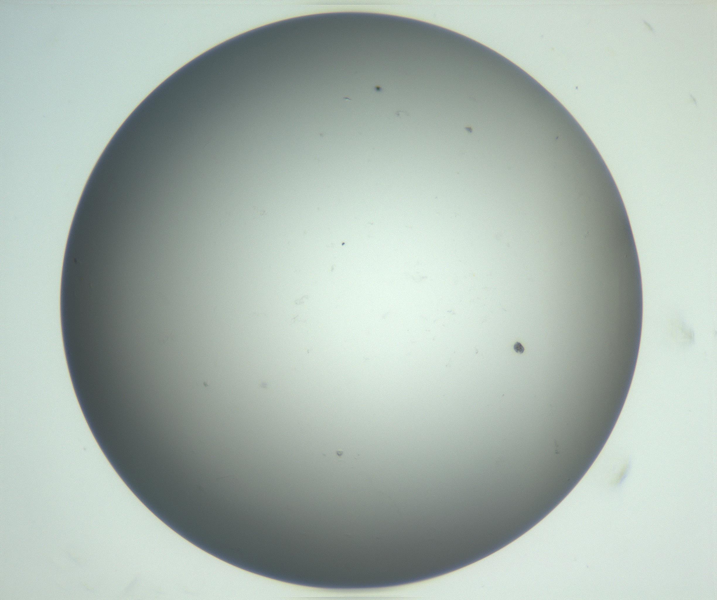 RI01_03_000_0212_Proj1_Clon1_MC_0000MC102865_003_161022_08_05_02_00_99_002_001_RAI.jpg