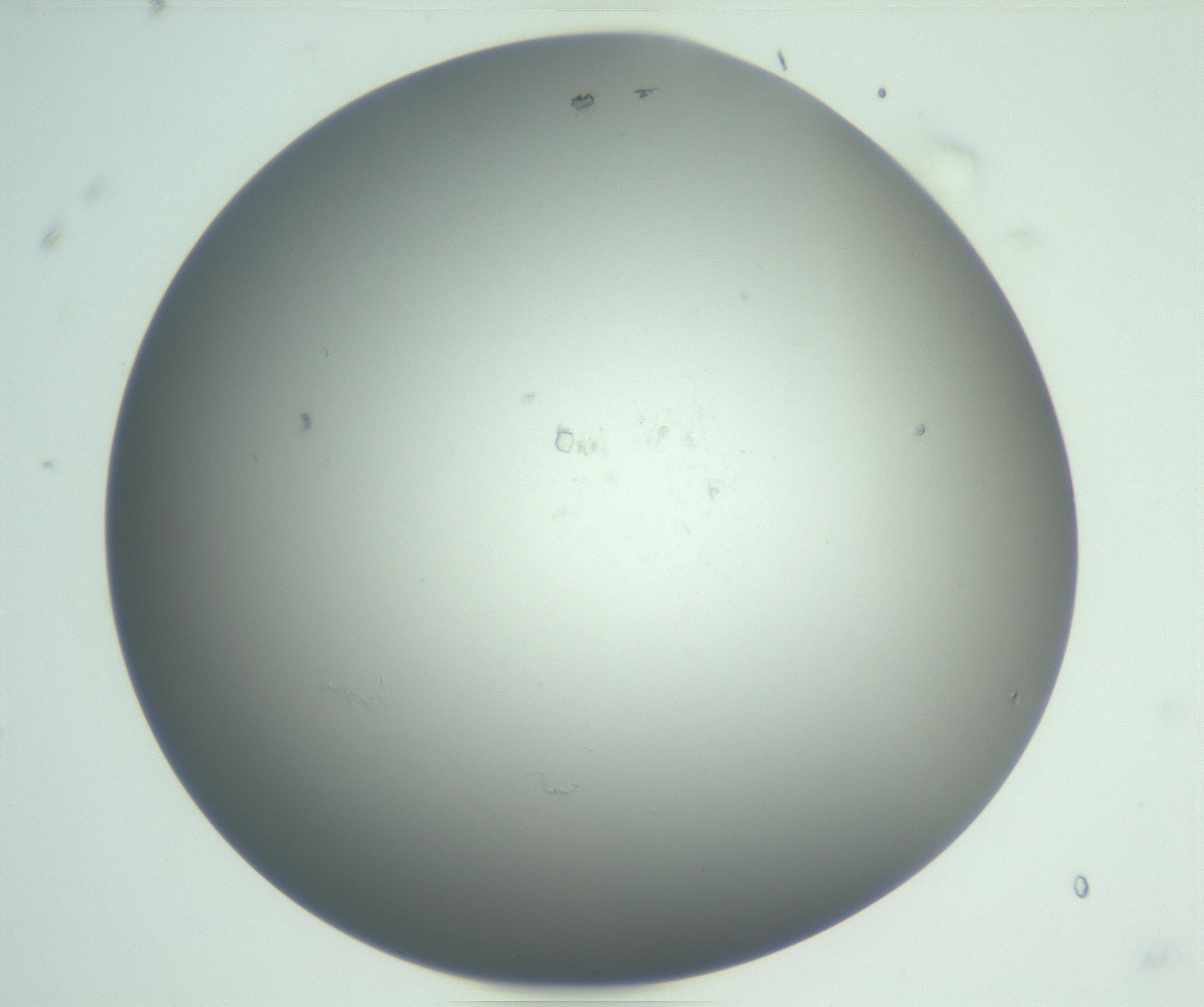 RI01_03_000_0212_Proj1_Clon1_MC_0000MC102865_003_161022_08_07_01_00_99_002_001_RAI.jpg