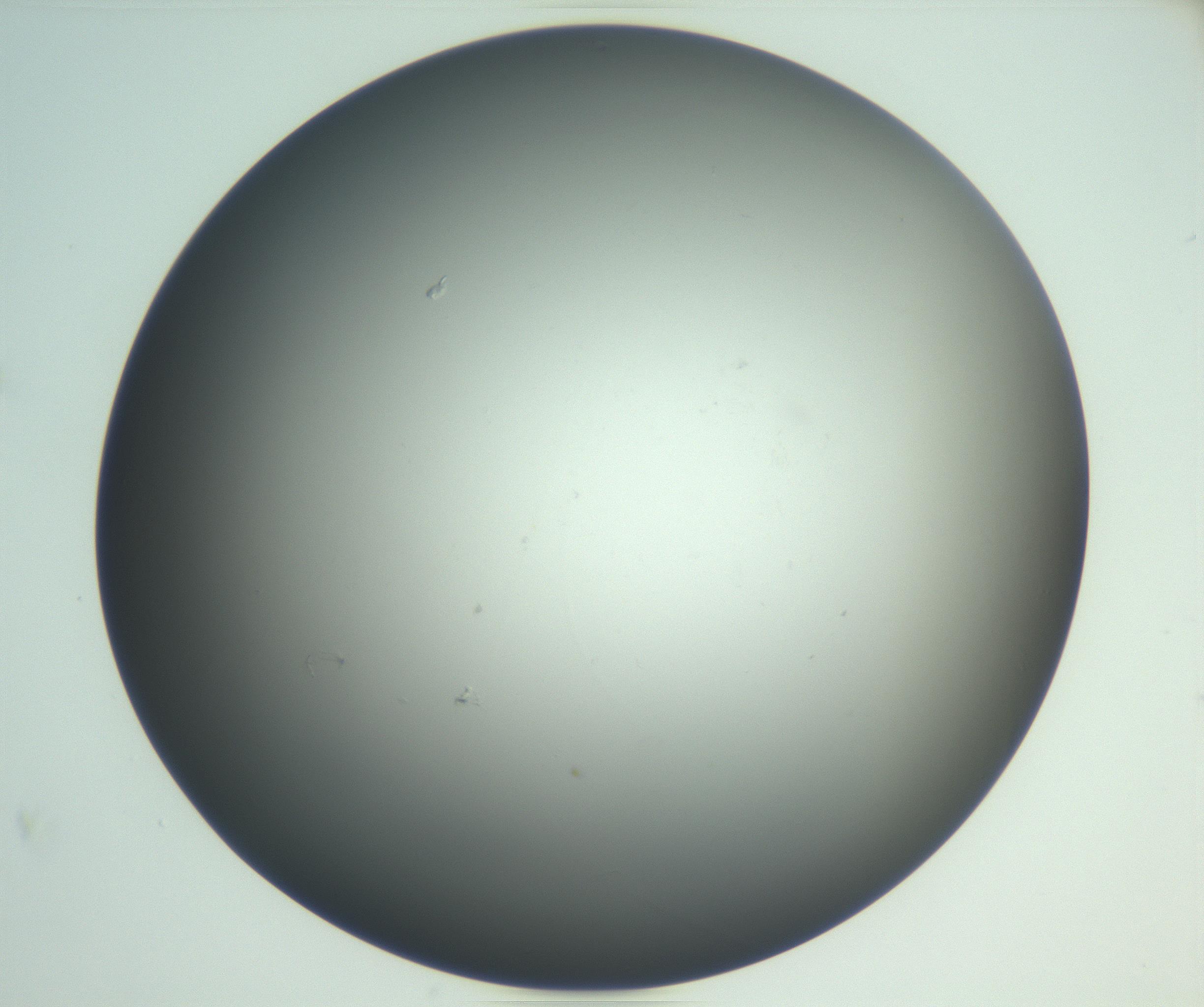 RI01_03_000_0212_Proj1_Clon1_MC_0000MC102865_003_161022_08_07_02_00_99_002_001_RAI.jpg