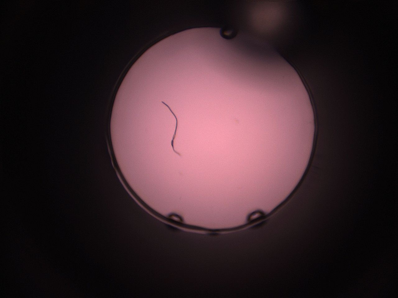 05i3_P15_ImagerDefaults_1.jpg