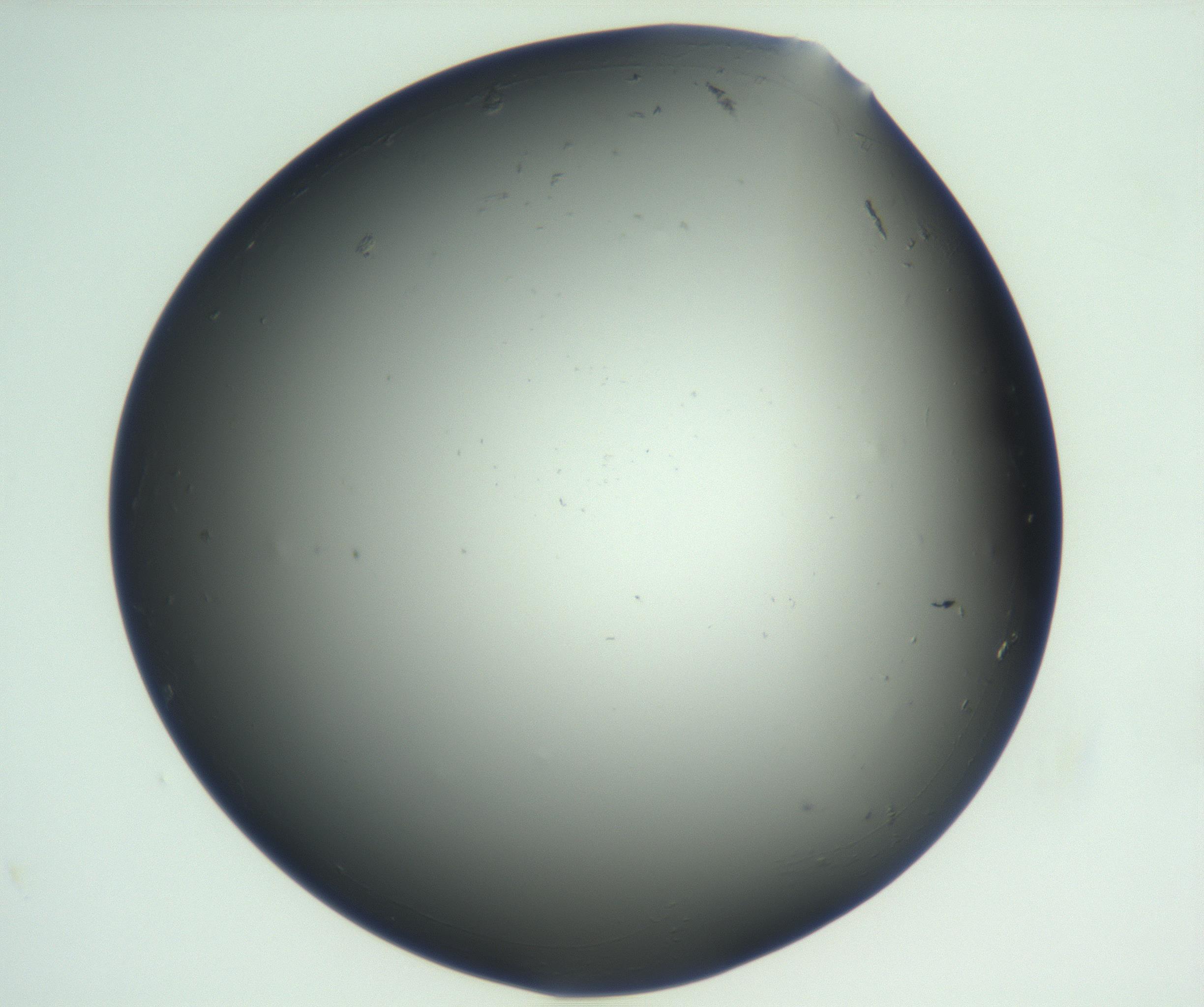 RI01_03_000_0212_Proj1_Clon1_MC_0000MC102865_003_161022_09_01_01_00_99_002_001_RAI.jpg