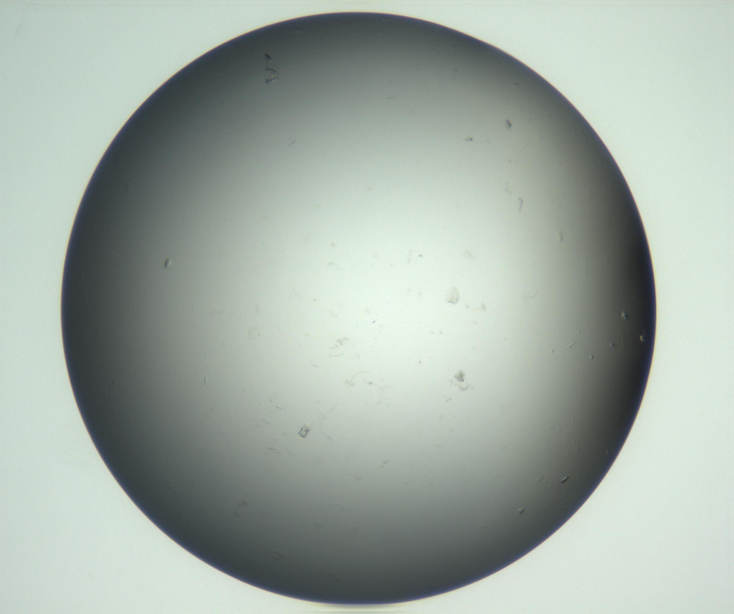 RI01_03_000_0212_Proj1_Clon1_MC_0000MC102865_003_161022_09_01_02_00_99_002_001_RAI.jpg