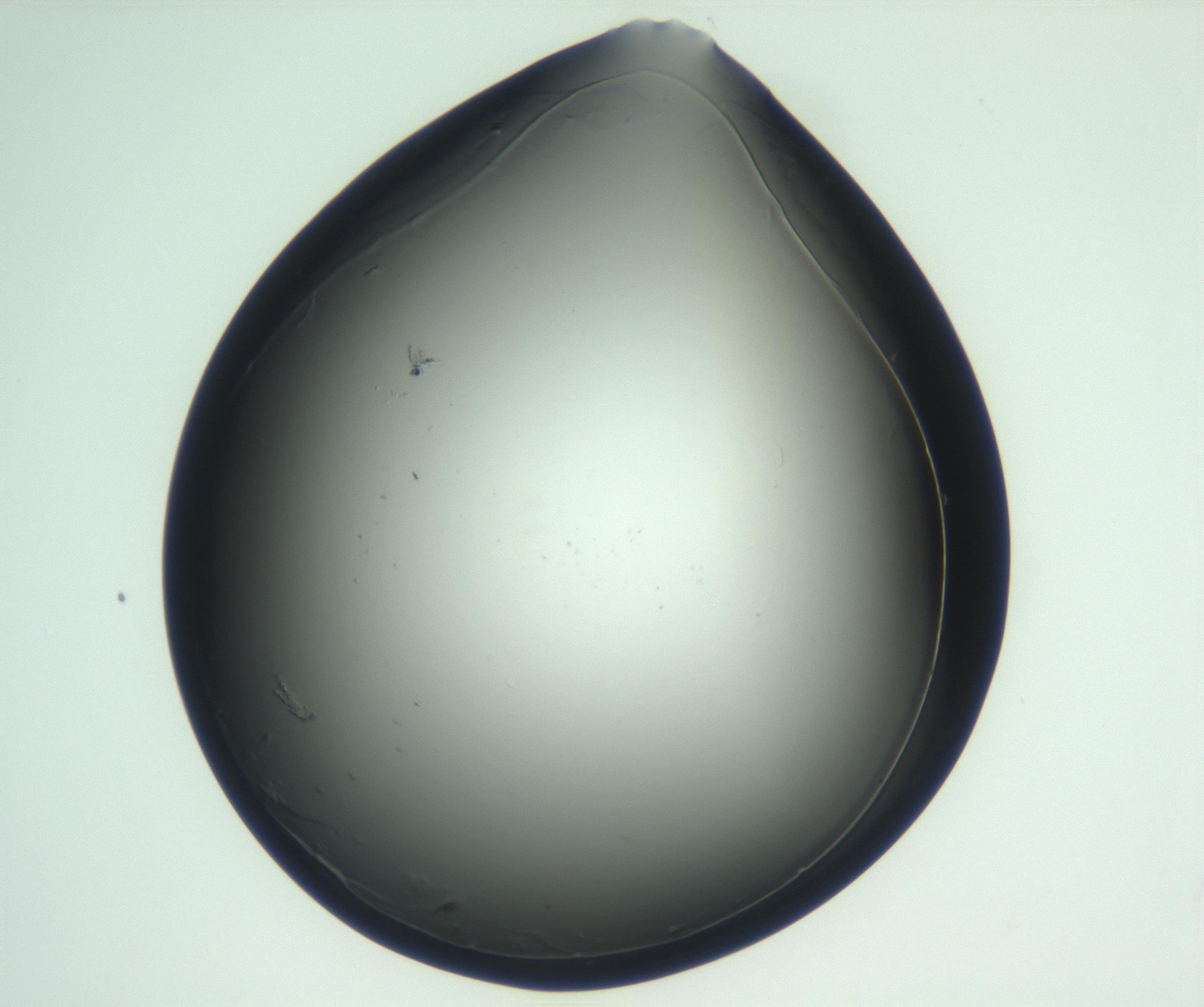 RI01_03_000_0212_Proj1_Clon1_MC_0000MC102865_003_161022_09_04_01_00_99_002_001_RAI.jpg