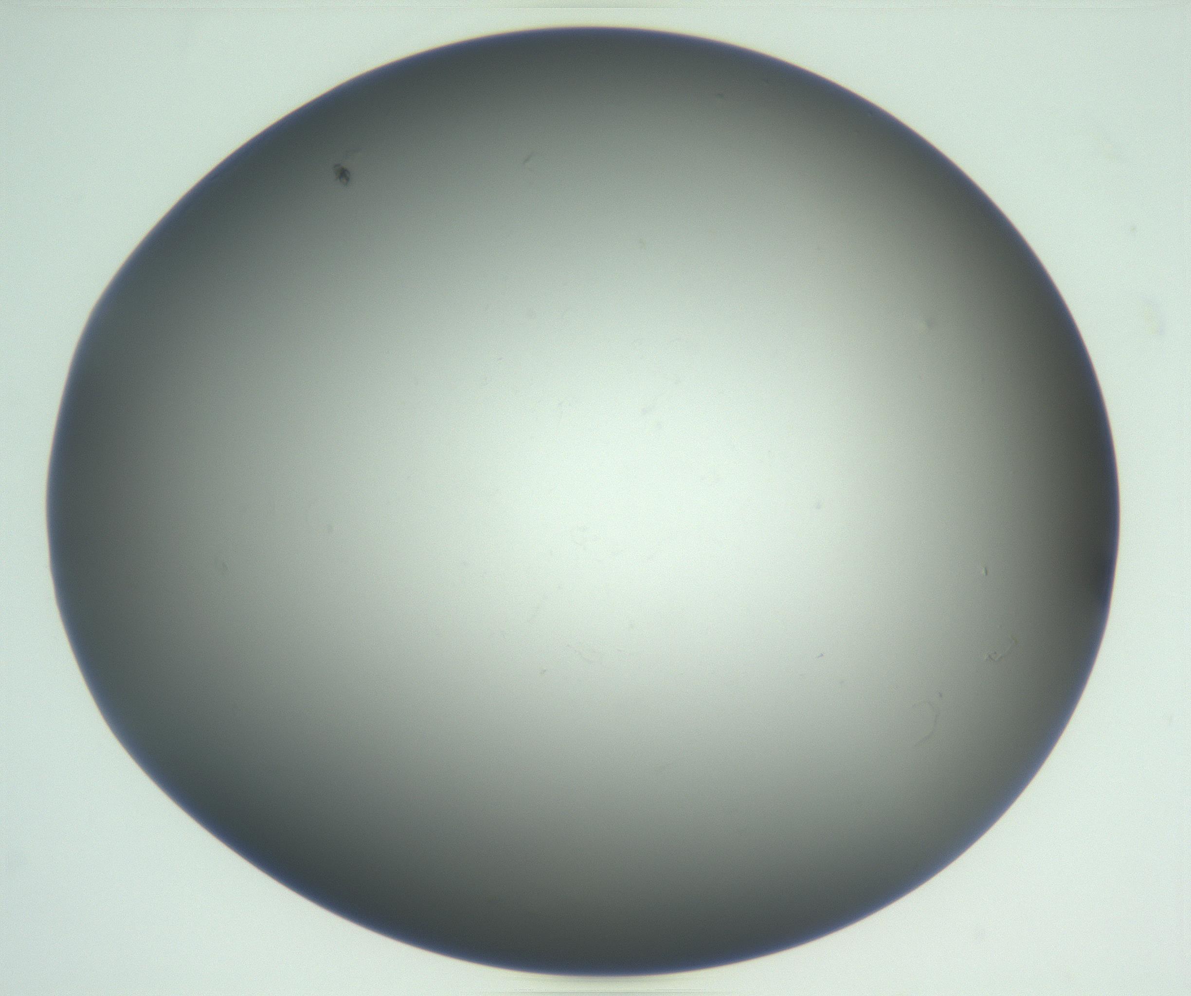RI01_03_000_0212_Proj1_Clon1_MC_0000MC102865_003_161022_09_05_01_00_99_002_001_RAI.jpg