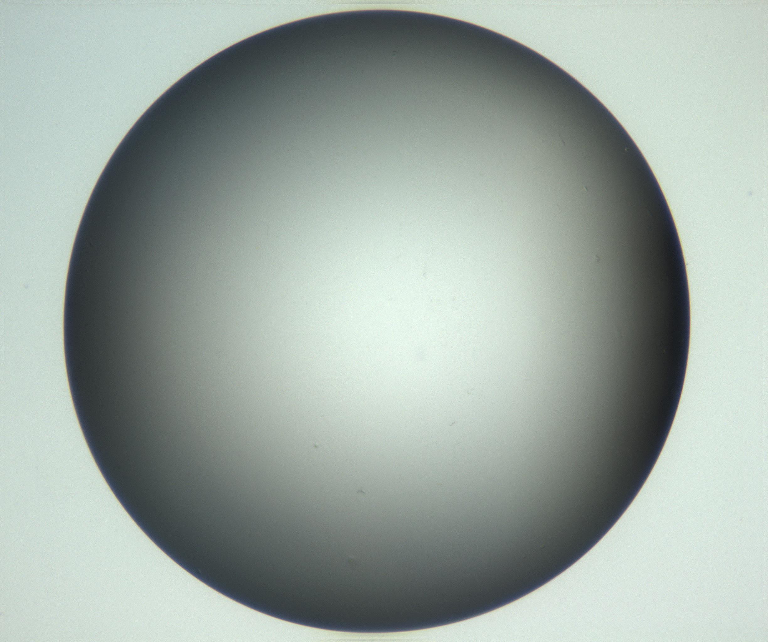 RI01_03_000_0212_Proj1_Clon1_MC_0000MC102865_003_161022_09_05_02_00_99_002_001_RAI.jpg