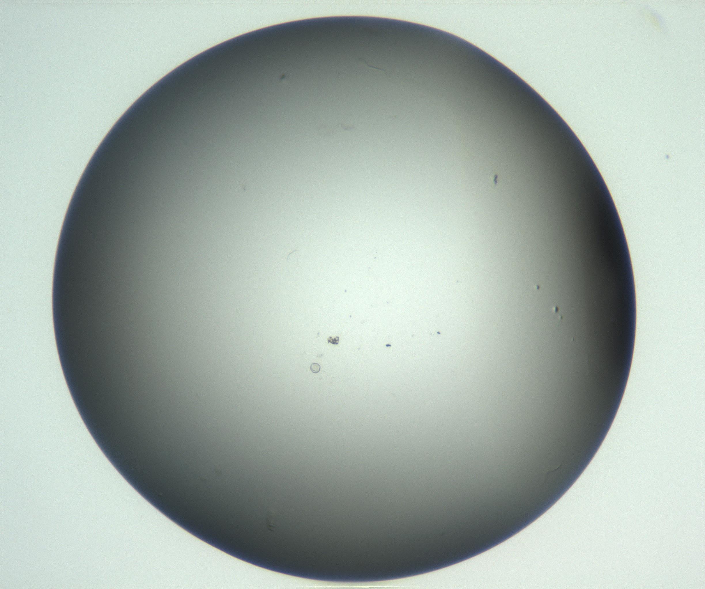 RI01_03_000_0212_Proj1_Clon1_MC_0000MC102865_003_161022_09_06_01_00_99_002_001_RAI.jpg