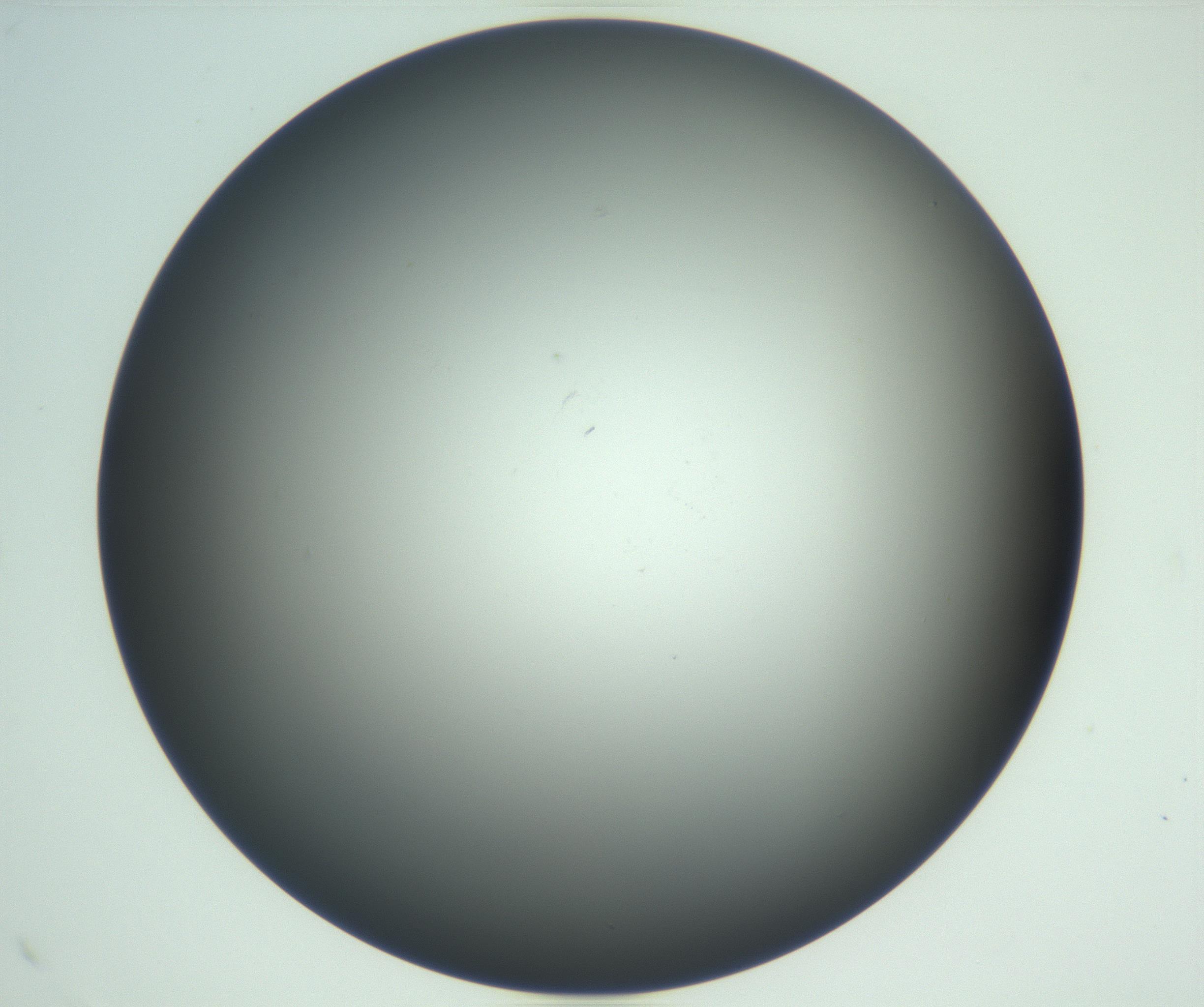 RI01_03_000_0212_Proj1_Clon1_MC_0000MC102865_003_161022_09_06_02_00_99_002_001_RAI.jpg