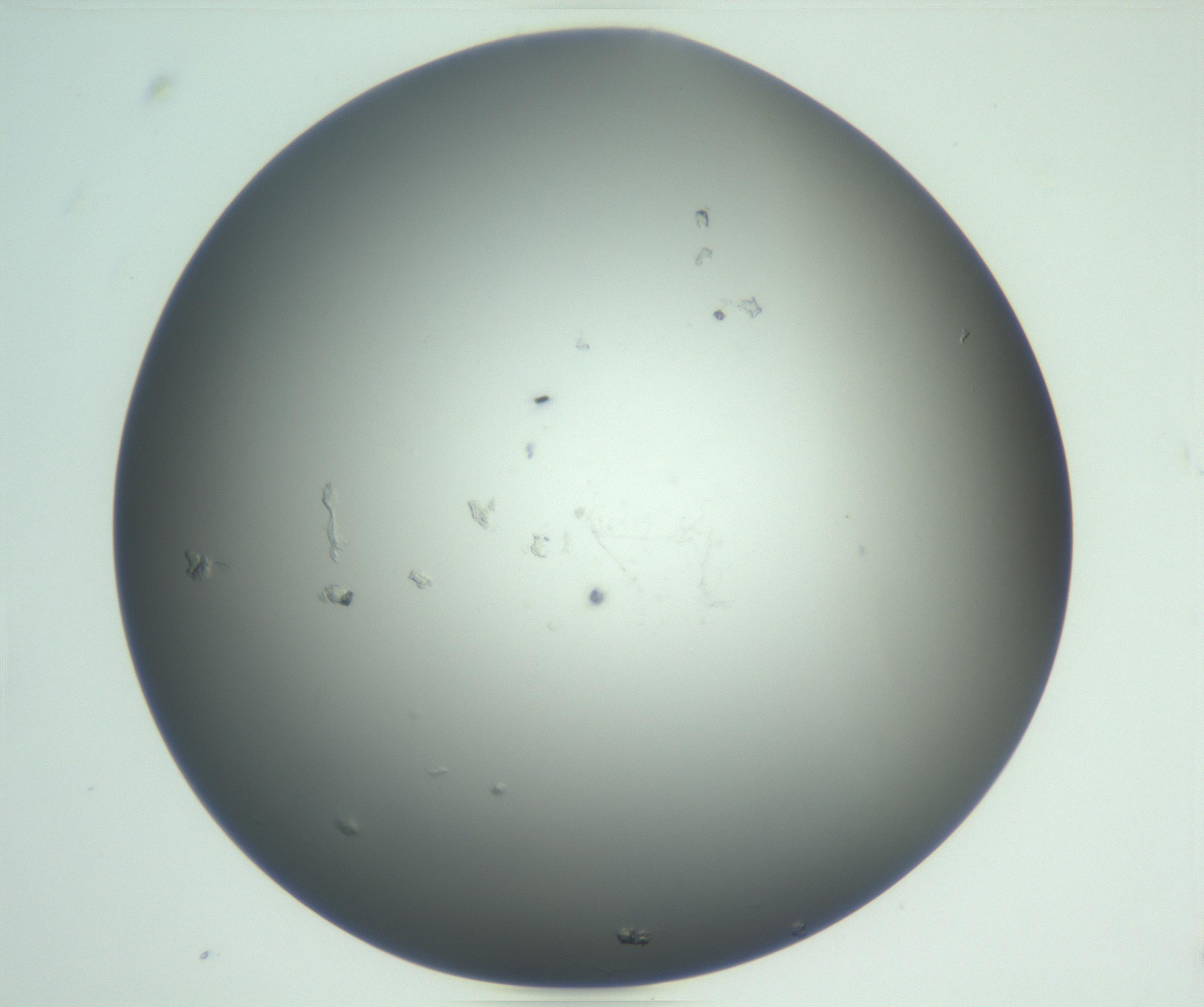RI01_03_000_0212_Proj1_Clon1_MC_0000MC102865_003_161022_09_07_01_00_99_002_001_RAI.jpg