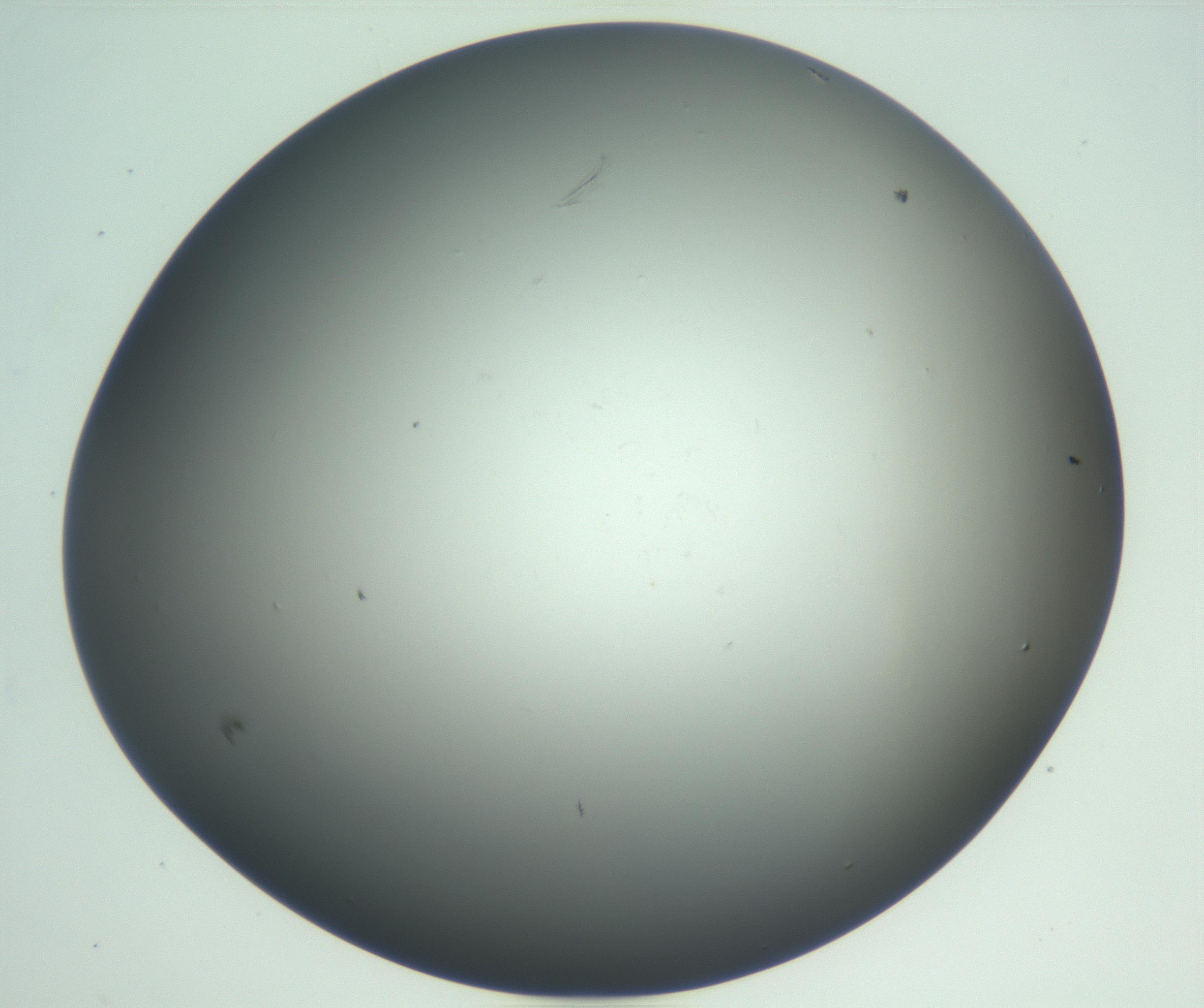 RI01_03_000_0212_Proj1_Clon1_MC_0000MC102865_003_161022_09_07_02_00_99_002_001_RAI.jpg