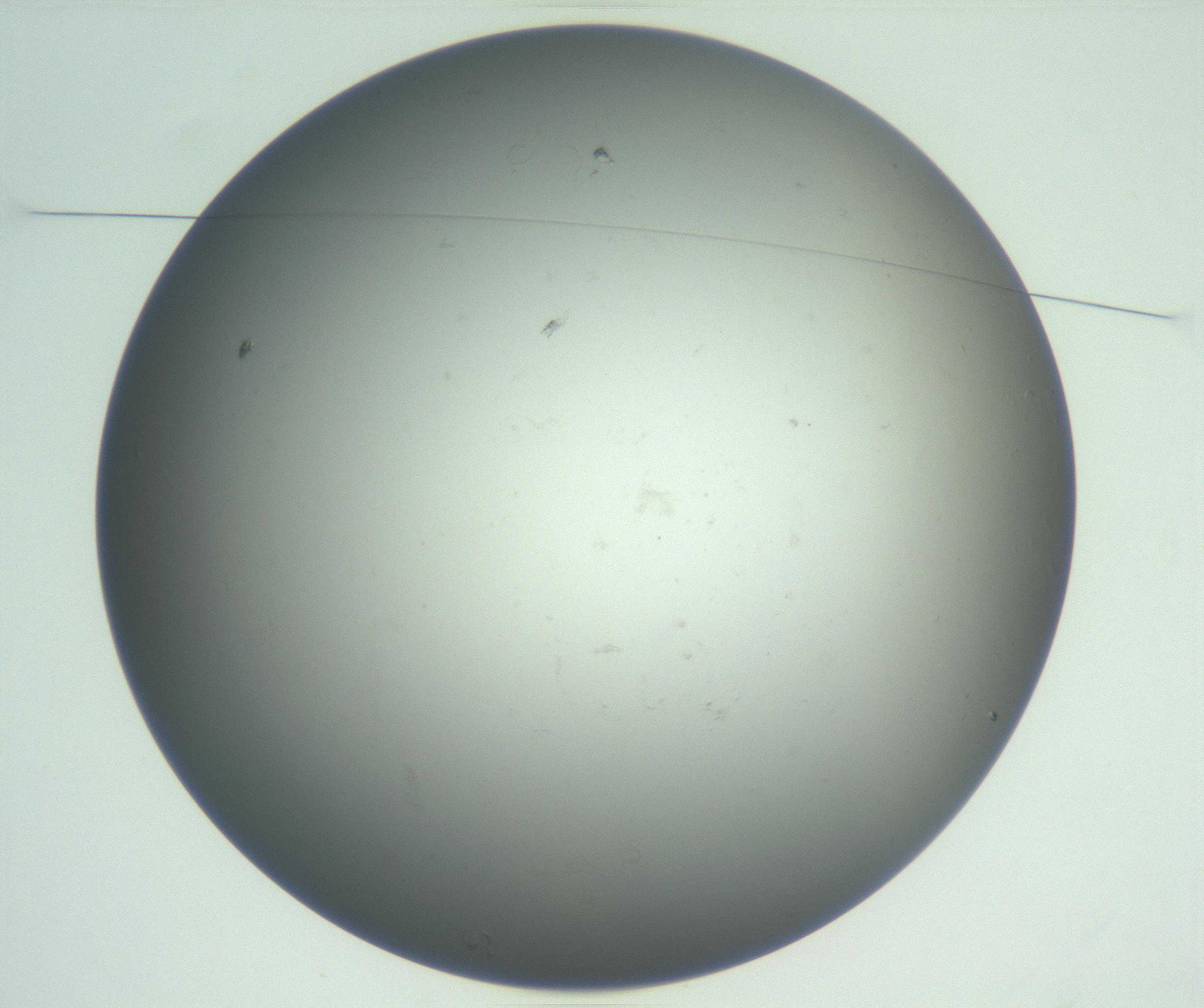 RI01_03_000_0212_Proj1_Clon1_MC_0000MC102865_003_161022_10_01_01_00_99_002_001_RAI.jpg