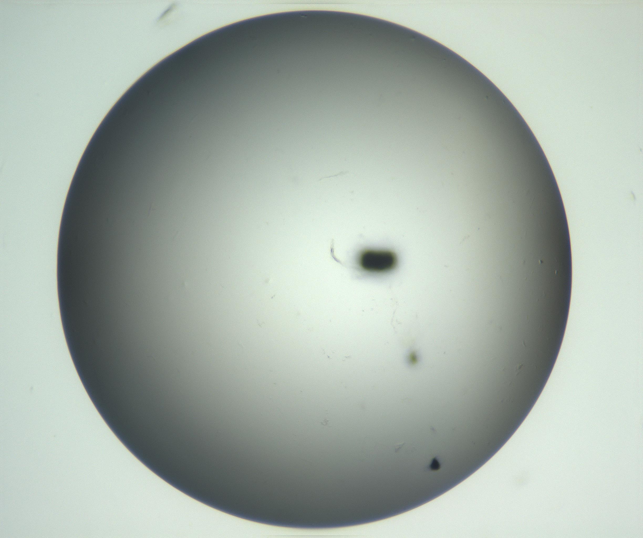RI01_03_000_0212_Proj1_Clon1_MC_0000MC102865_003_161022_10_01_02_00_99_002_001_RAI.jpg