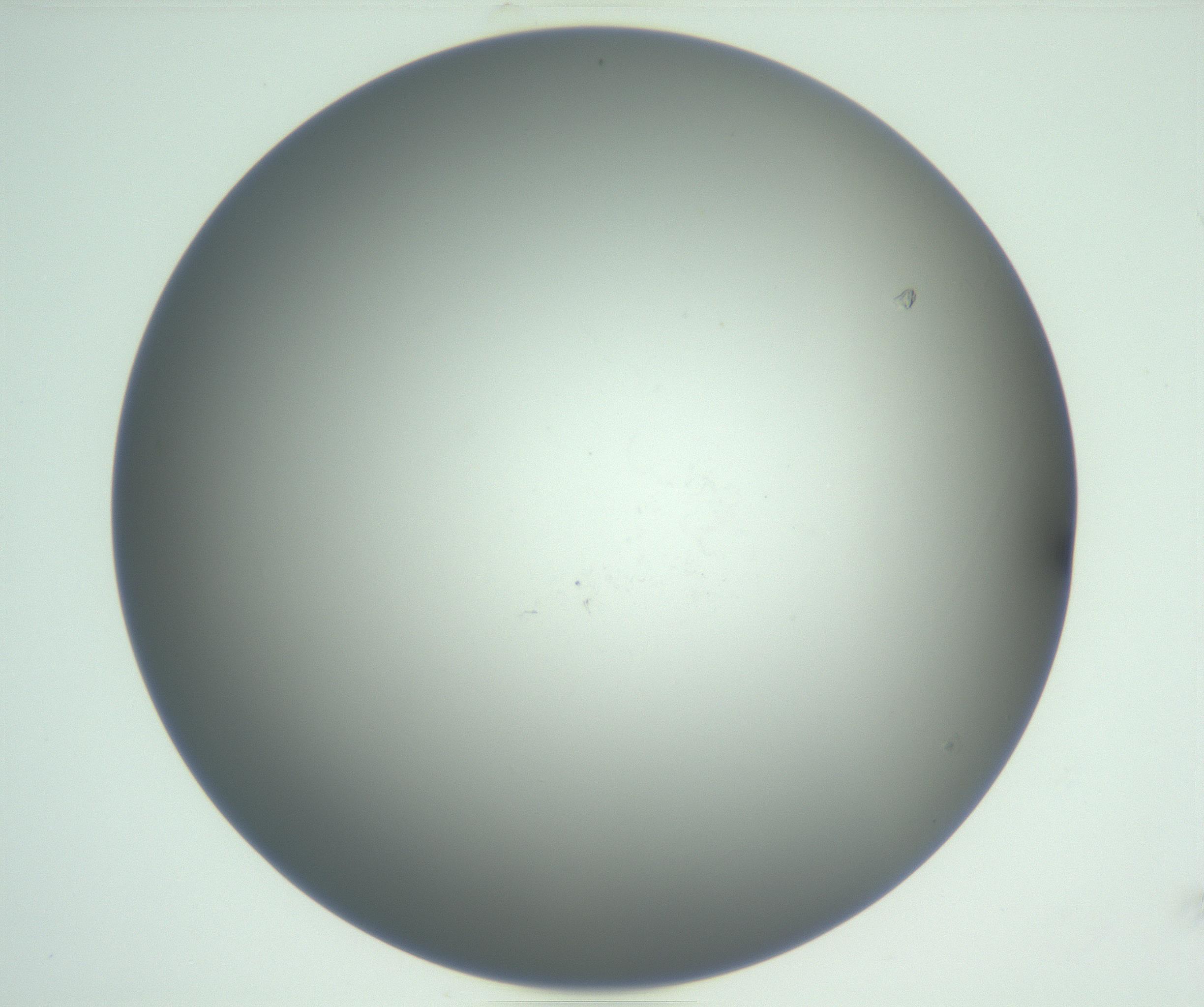 RI01_03_000_0212_Proj1_Clon1_MC_0000MC102865_003_161022_10_06_01_00_99_002_001_RAI.jpg