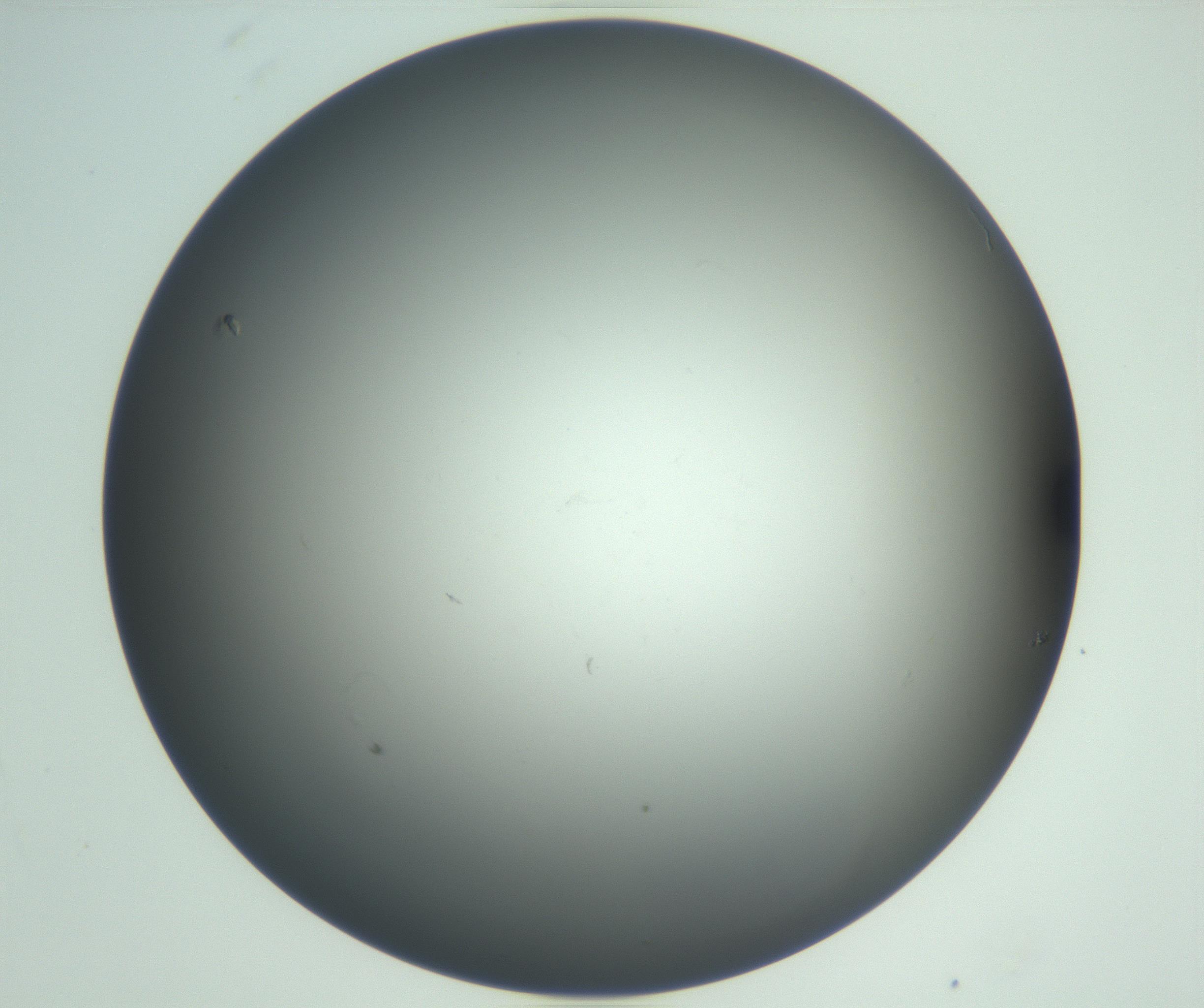 RI01_03_000_0212_Proj1_Clon1_MC_0000MC102865_003_161022_10_06_02_00_99_002_001_RAI.jpg