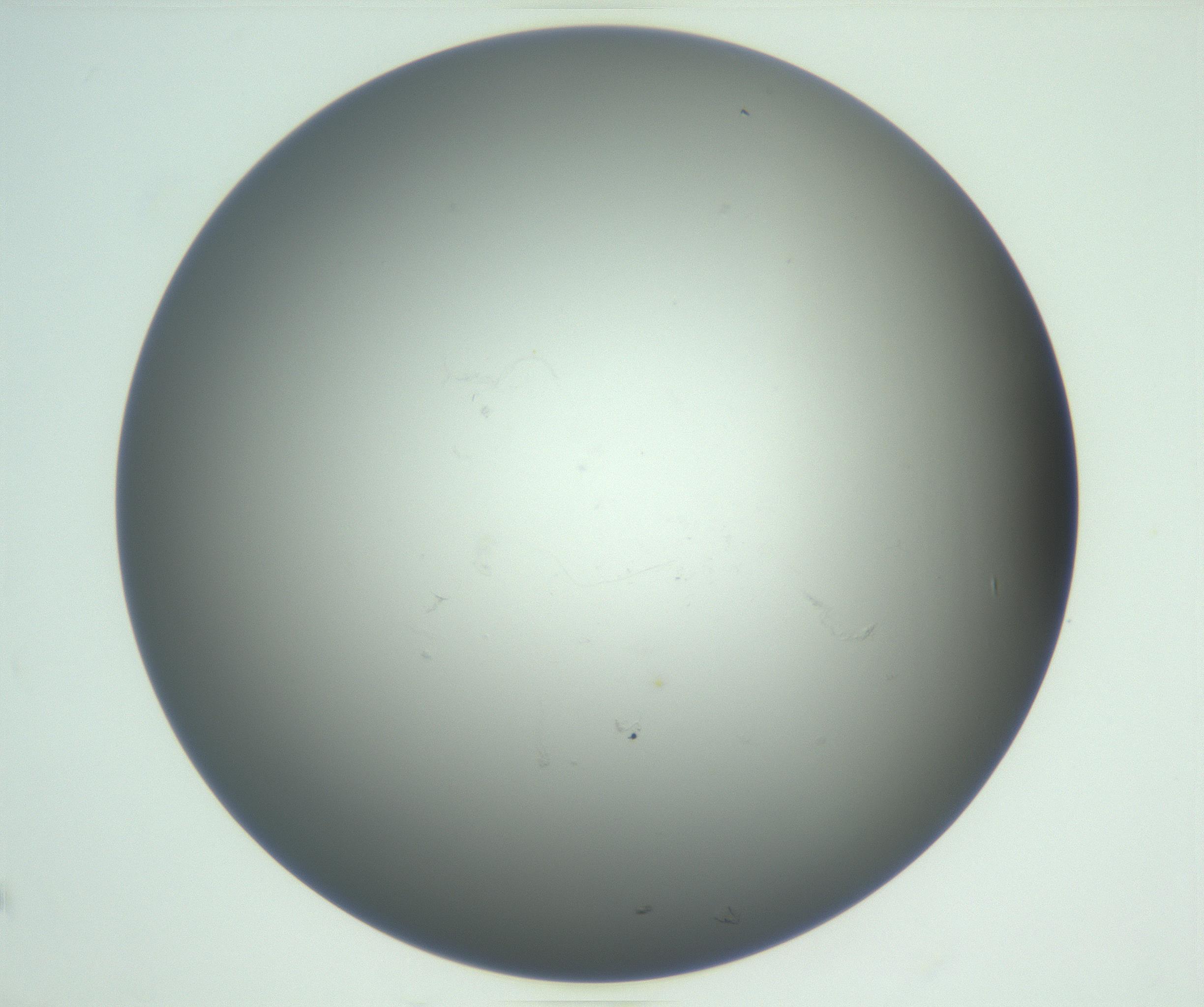 RI01_03_000_0212_Proj1_Clon1_MC_0000MC102865_003_161022_10_08_01_00_99_002_001_RAI.jpg