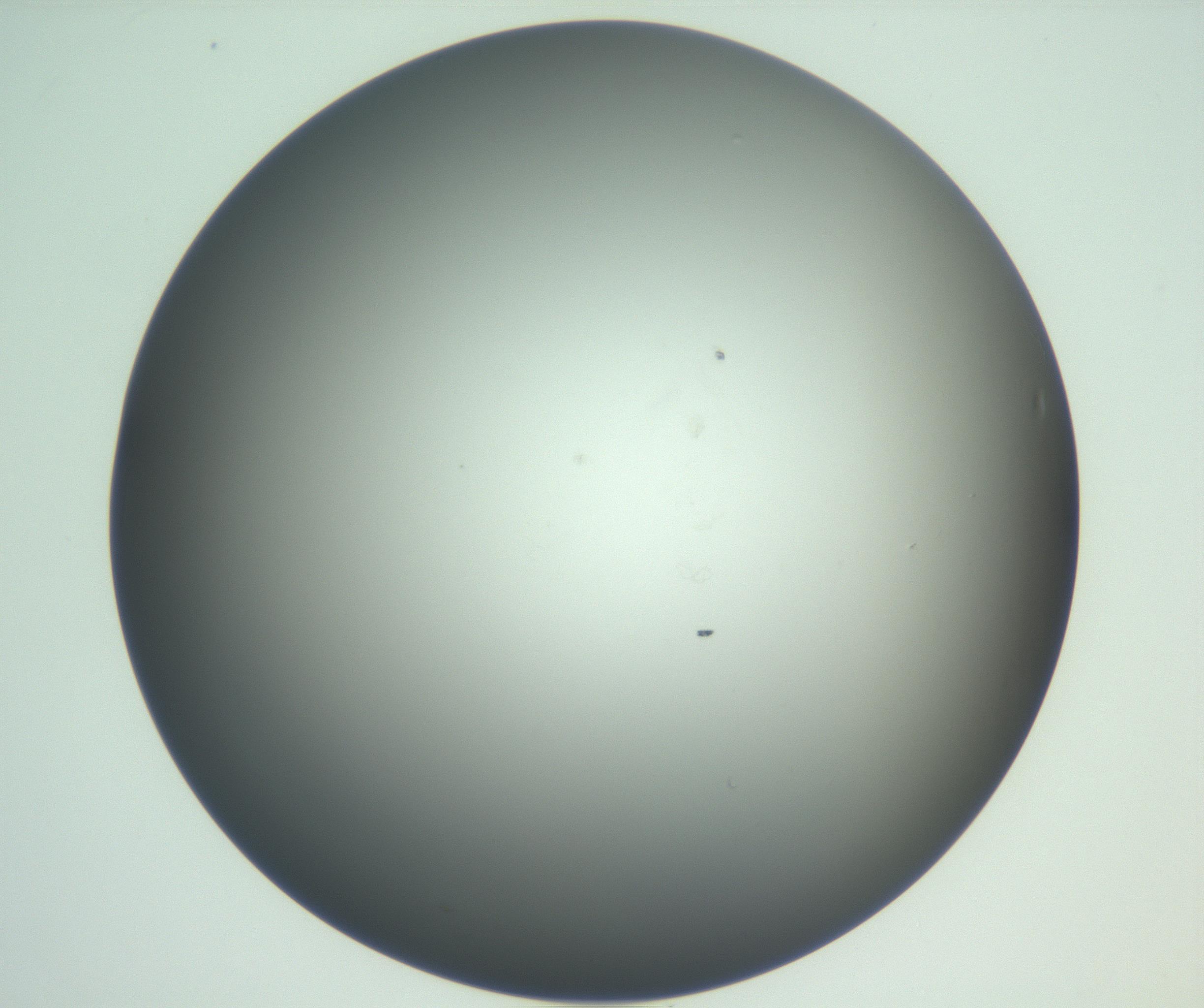 RI01_03_000_0212_Proj1_Clon1_MC_0000MC102865_003_161022_10_08_02_00_99_002_001_RAI.jpg