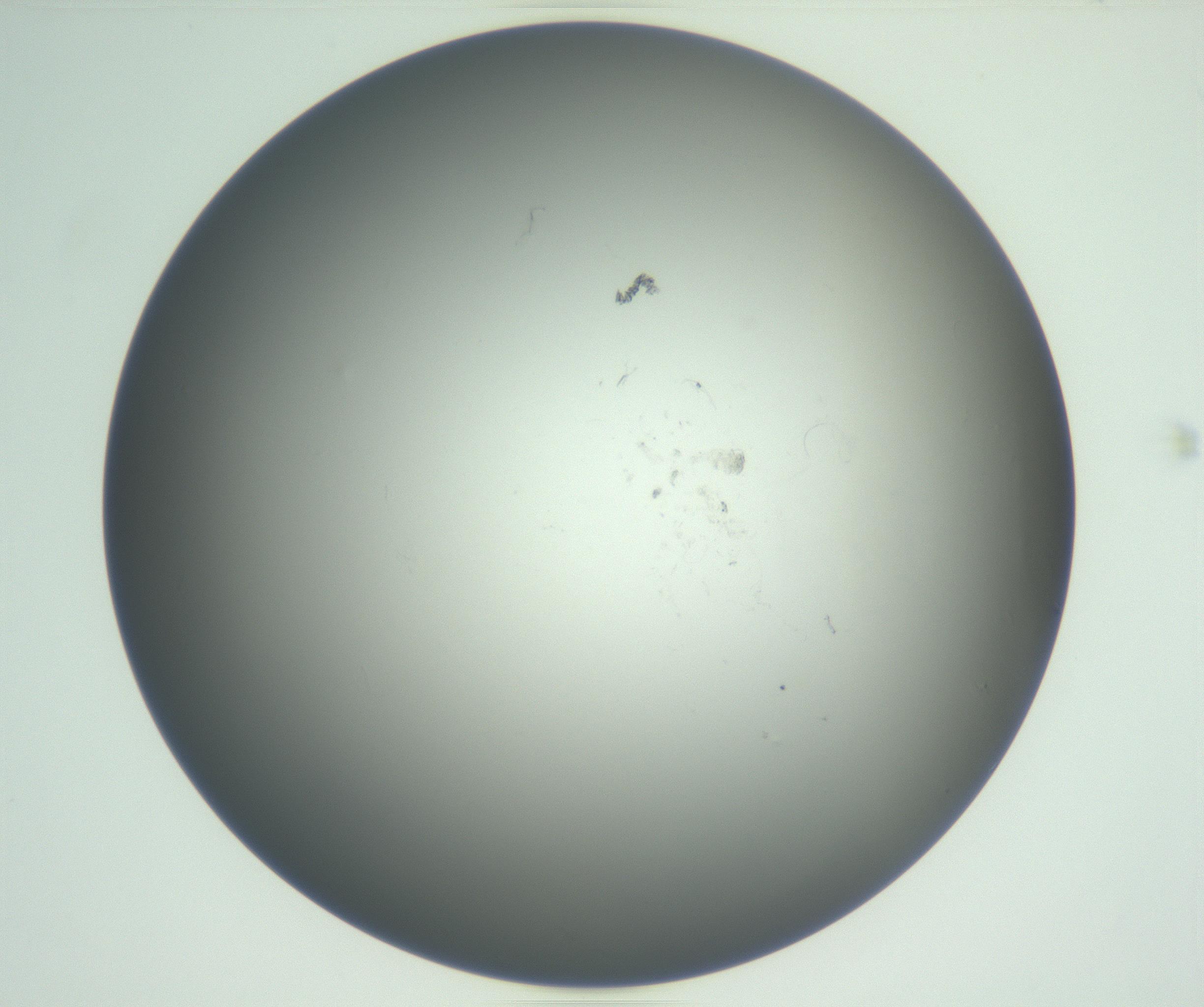RI01_03_000_0212_Proj1_Clon1_MC_0000MC102865_003_161022_11_05_01_00_99_002_001_RAI.jpg