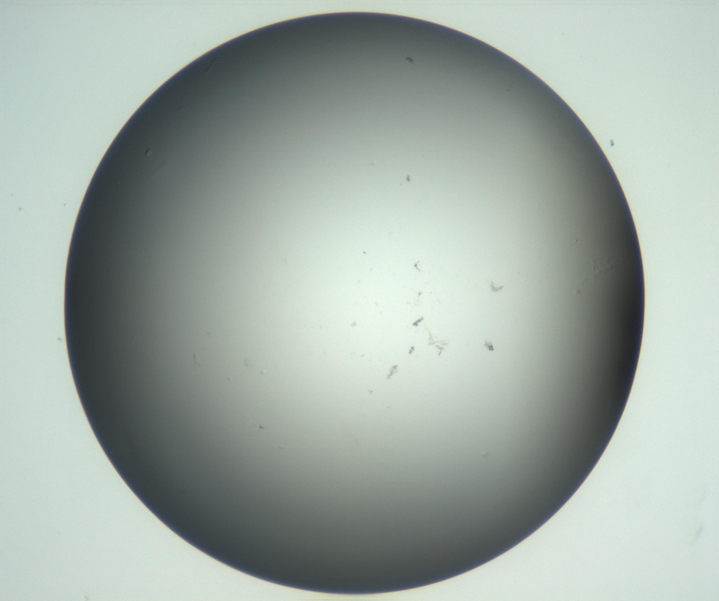 RI01_03_000_0212_Proj1_Clon1_MC_0000MC102865_003_161022_11_05_02_00_99_002_001_RAI.jpg