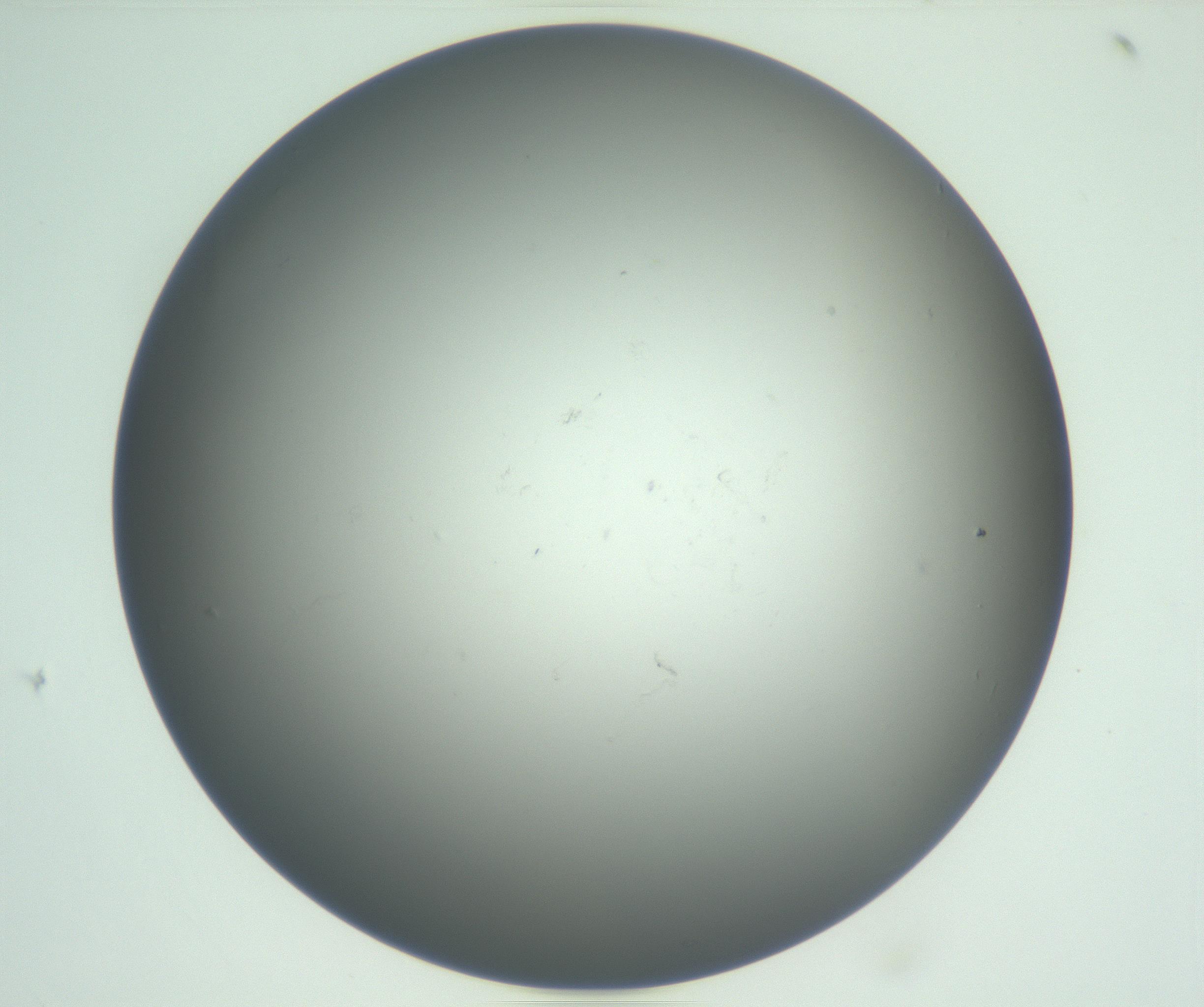 RI01_03_000_0212_Proj1_Clon1_MC_0000MC102865_003_161022_11_06_01_00_99_002_001_RAI.jpg