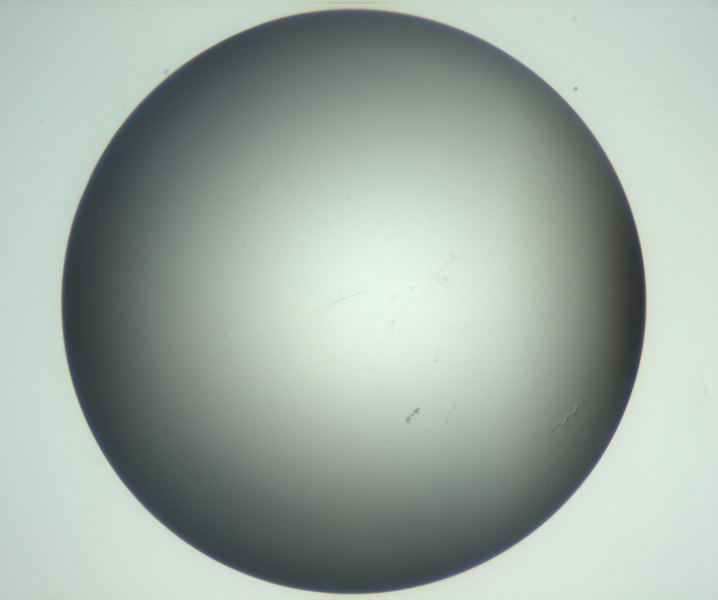 RI01_03_000_0212_Proj1_Clon1_MC_0000MC102865_003_161022_11_06_02_00_99_002_001_RAI.jpg