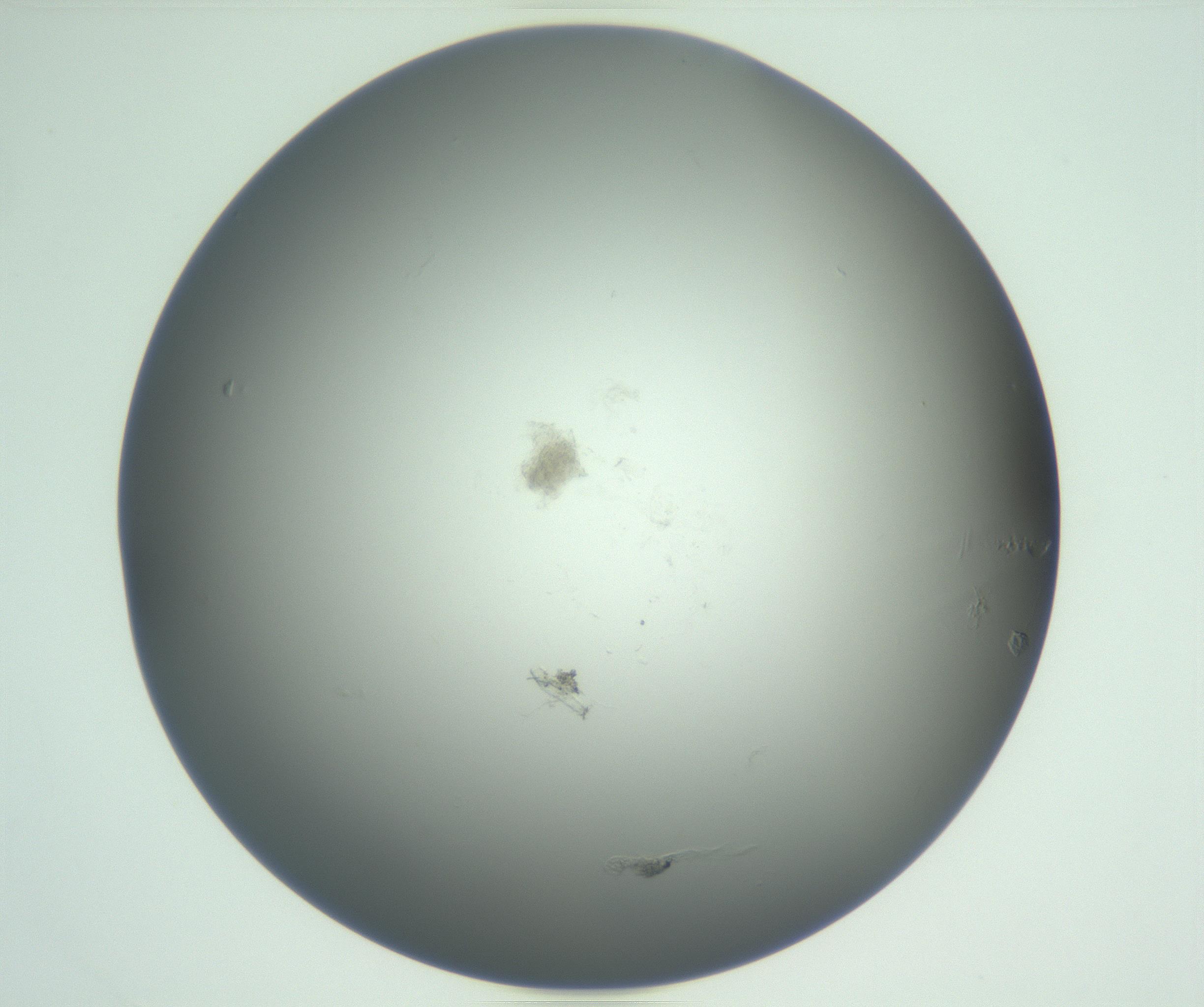 RI01_03_000_0212_Proj1_Clon1_MC_0000MC102865_003_161022_11_07_01_00_99_002_001_RAI.jpg