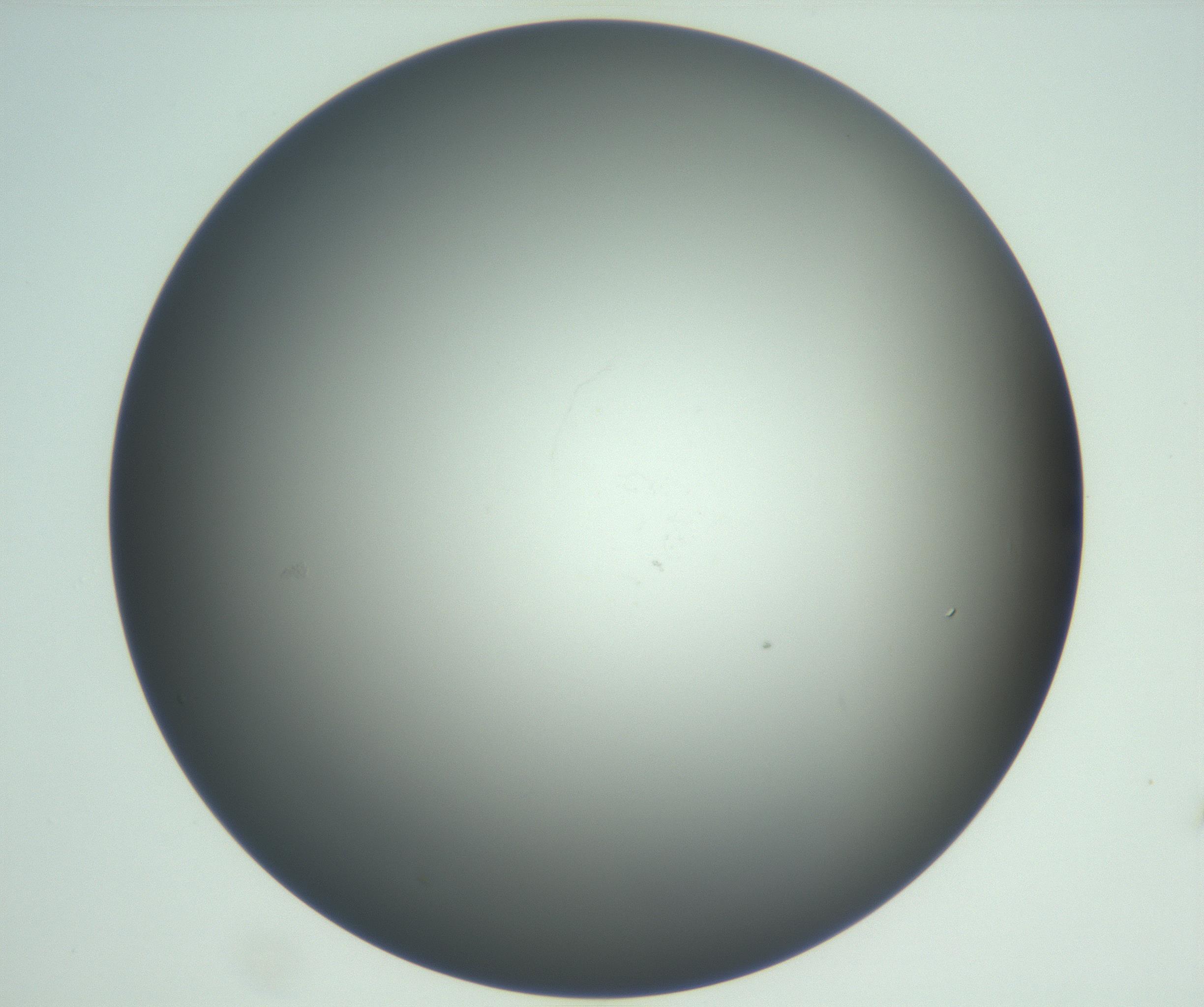 RI01_03_000_0212_Proj1_Clon1_MC_0000MC102865_003_161022_11_07_02_00_99_002_001_RAI.jpg