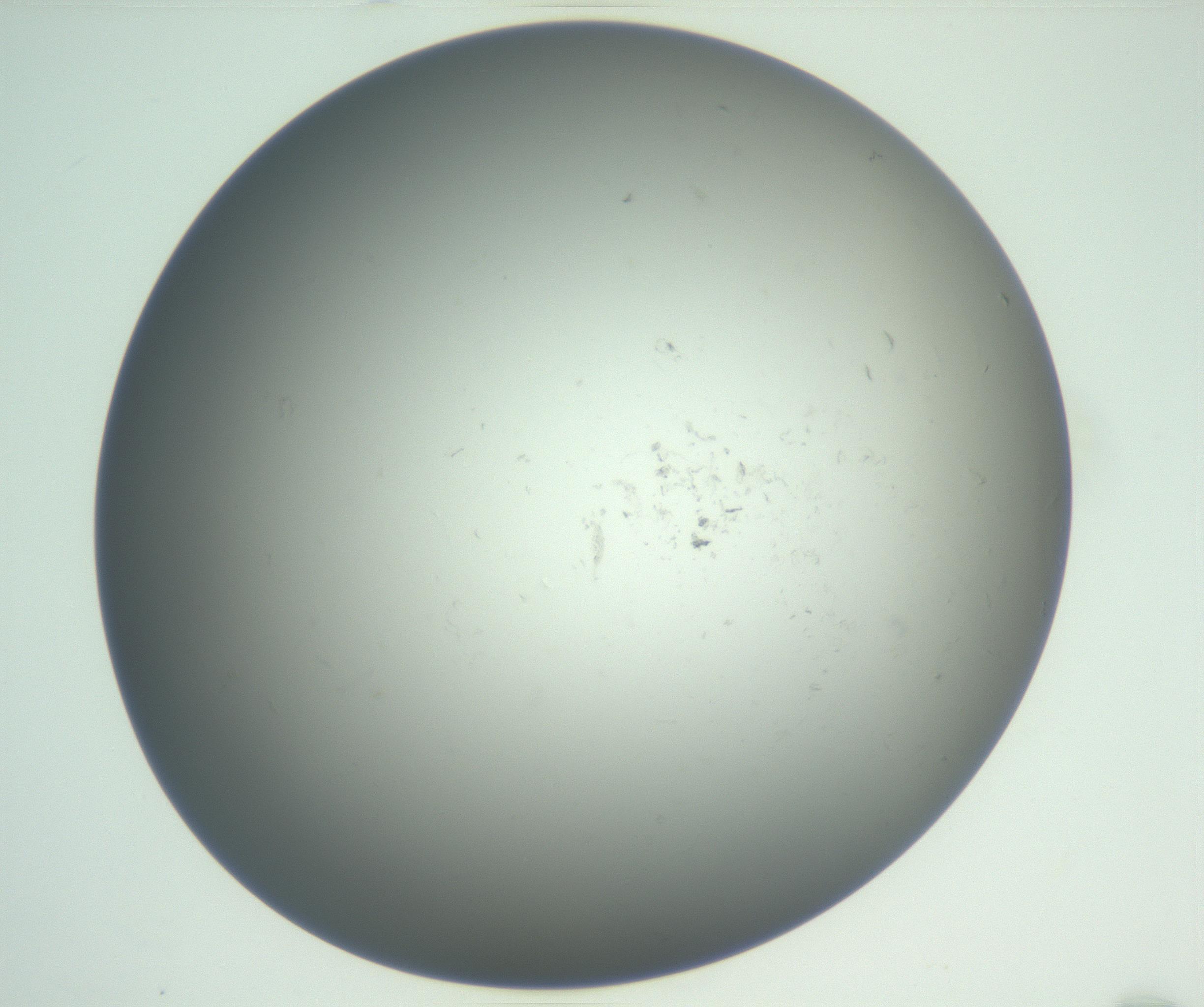 RI01_03_000_0212_Proj1_Clon1_MC_0000MC102865_003_161022_12_01_01_00_99_002_001_RAI.jpg
